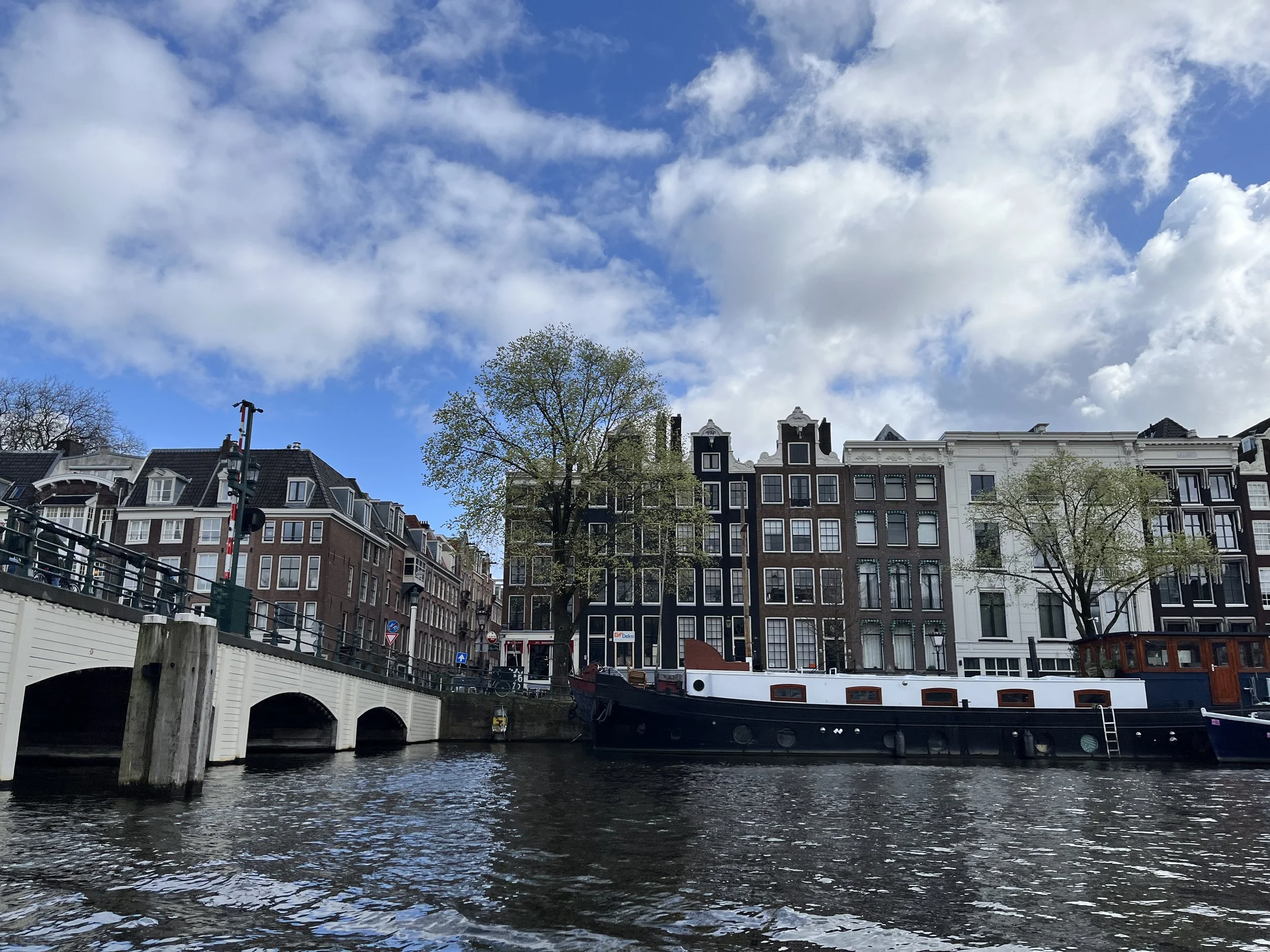 IMG_3267.jpeg