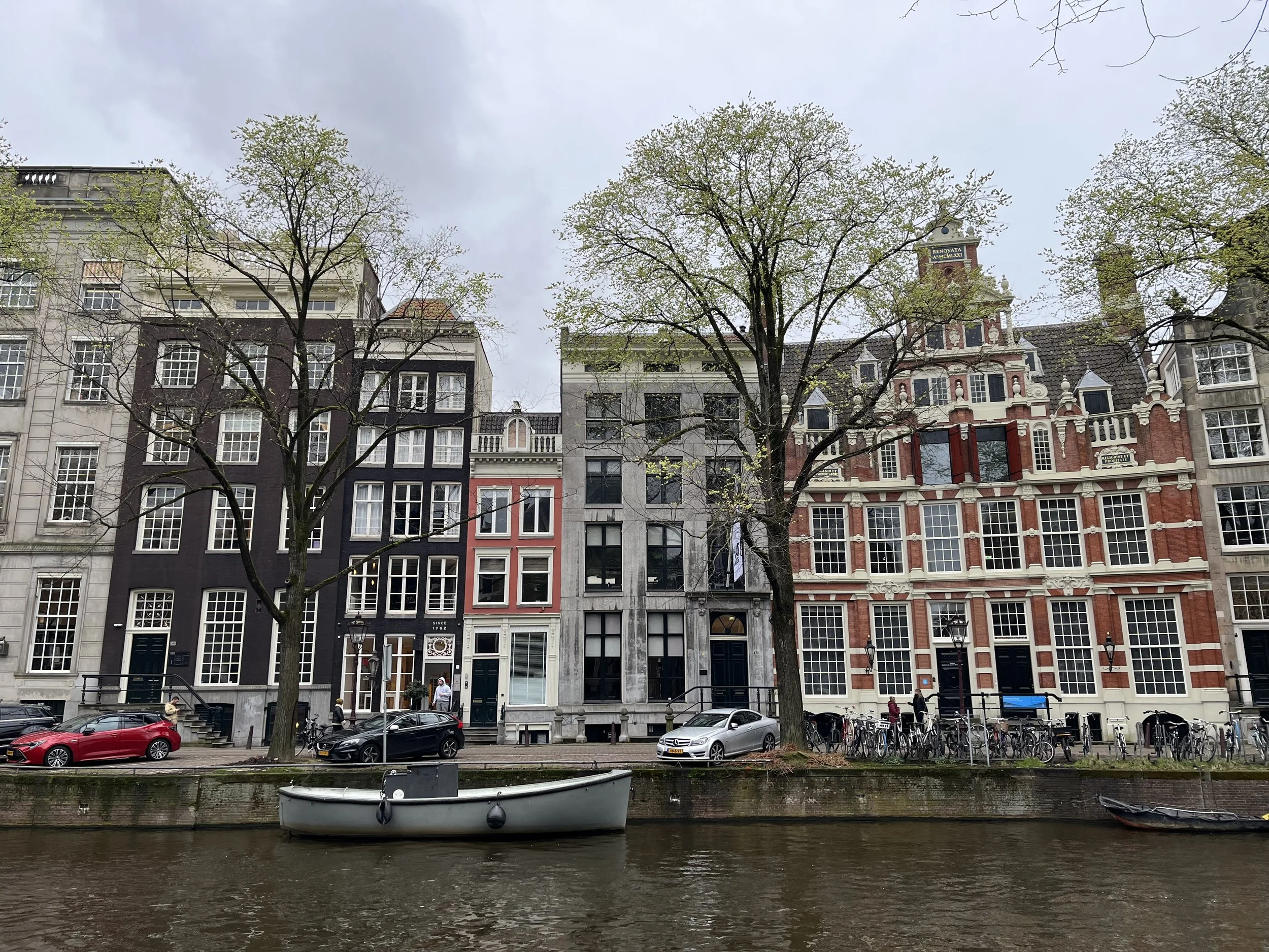 IMG_3250.jpeg