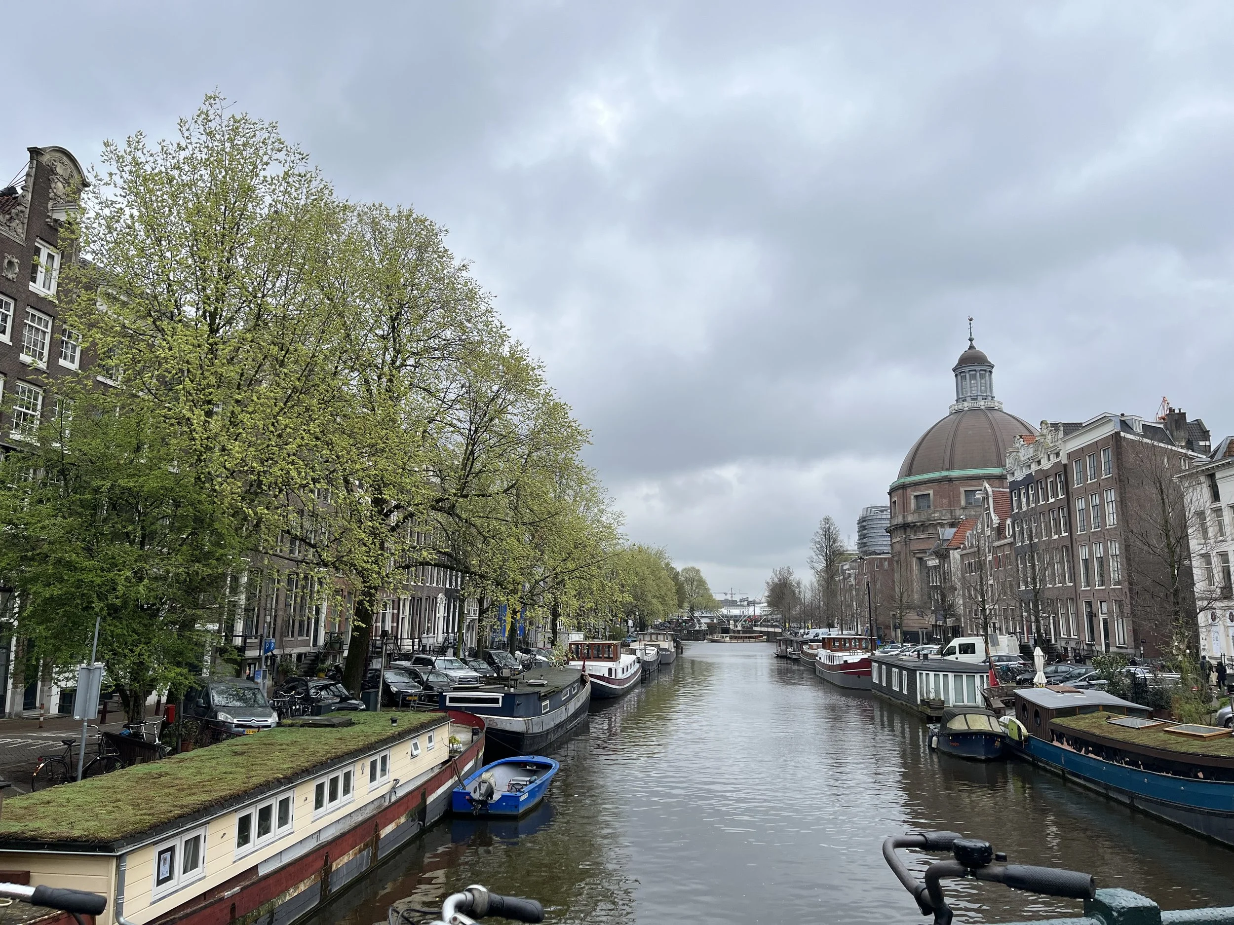 IMG_3237.jpeg