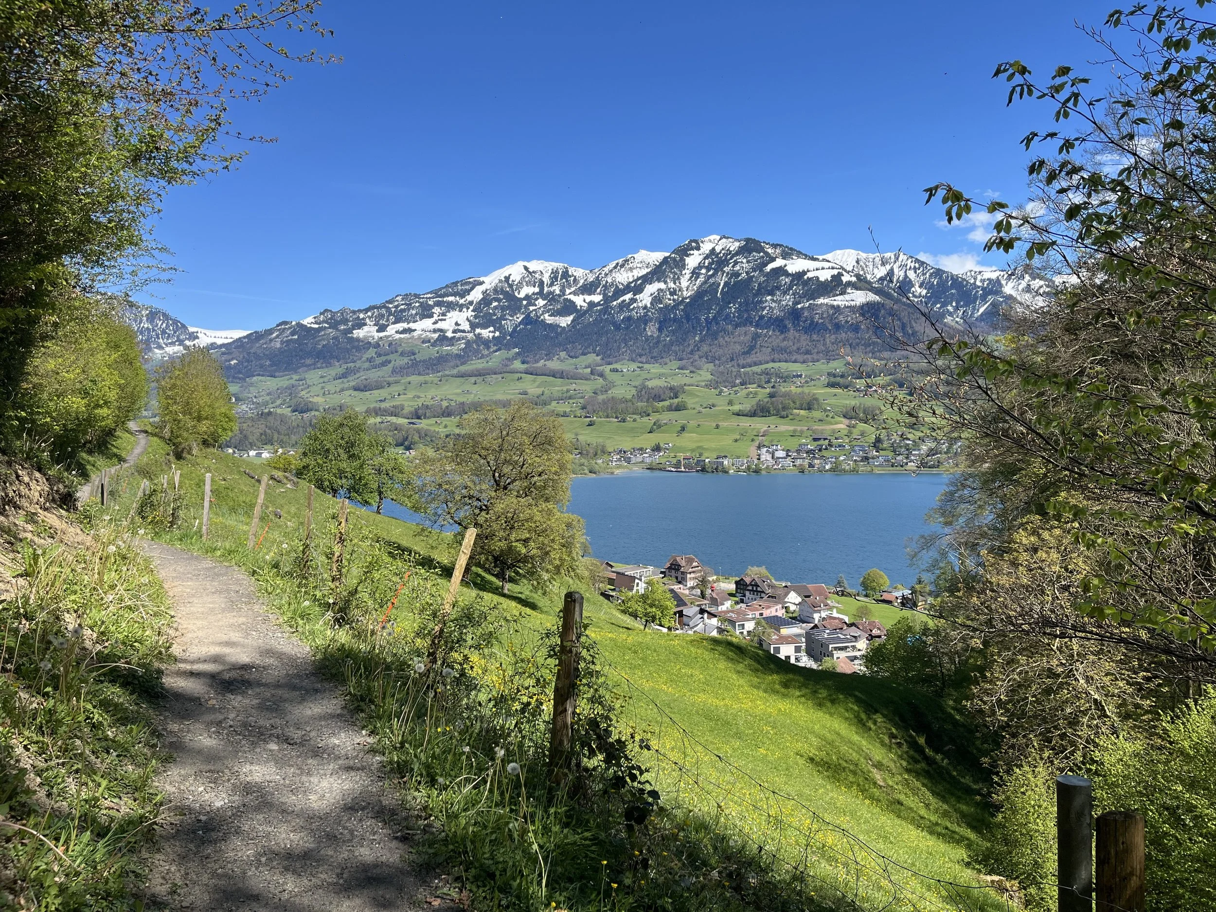 IMG_4018.jpeg