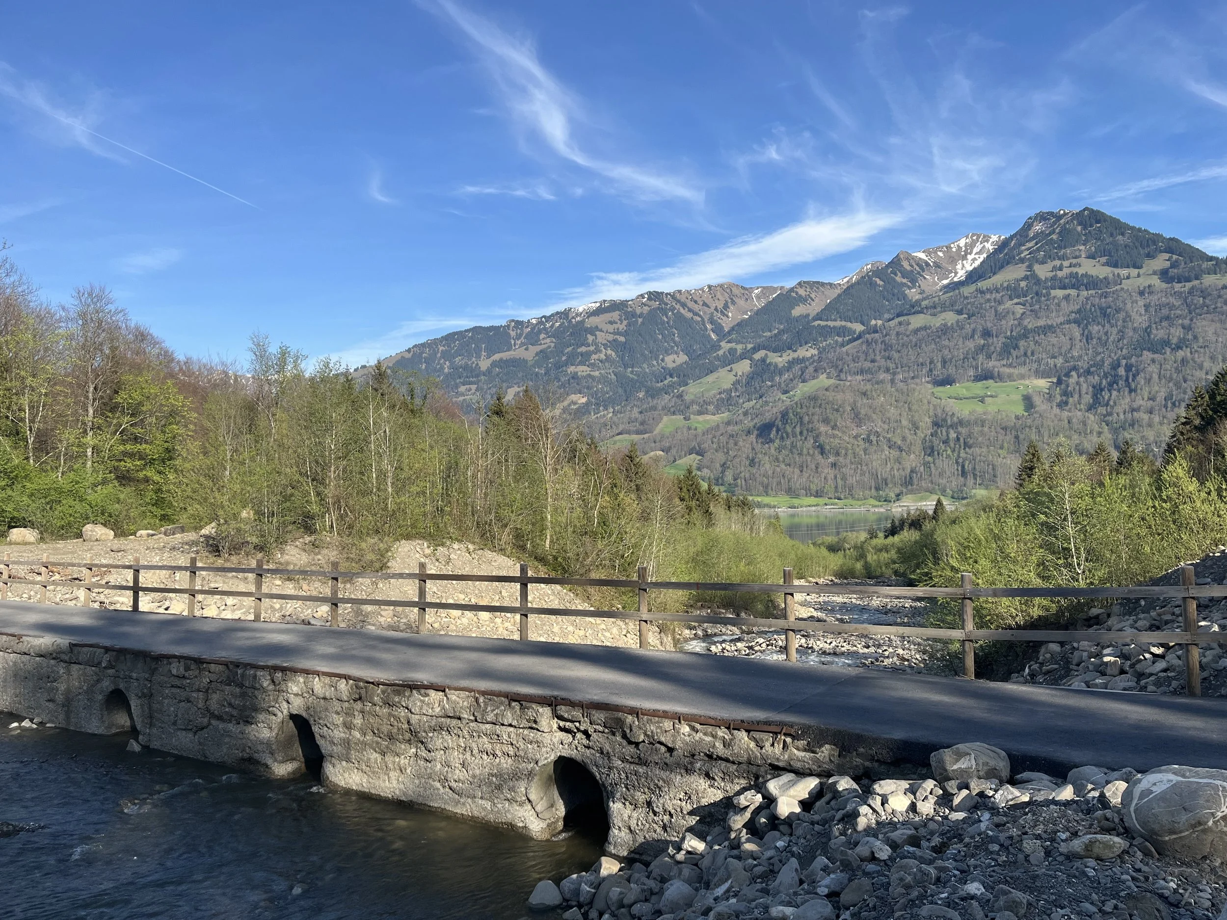 IMG_3831.jpeg