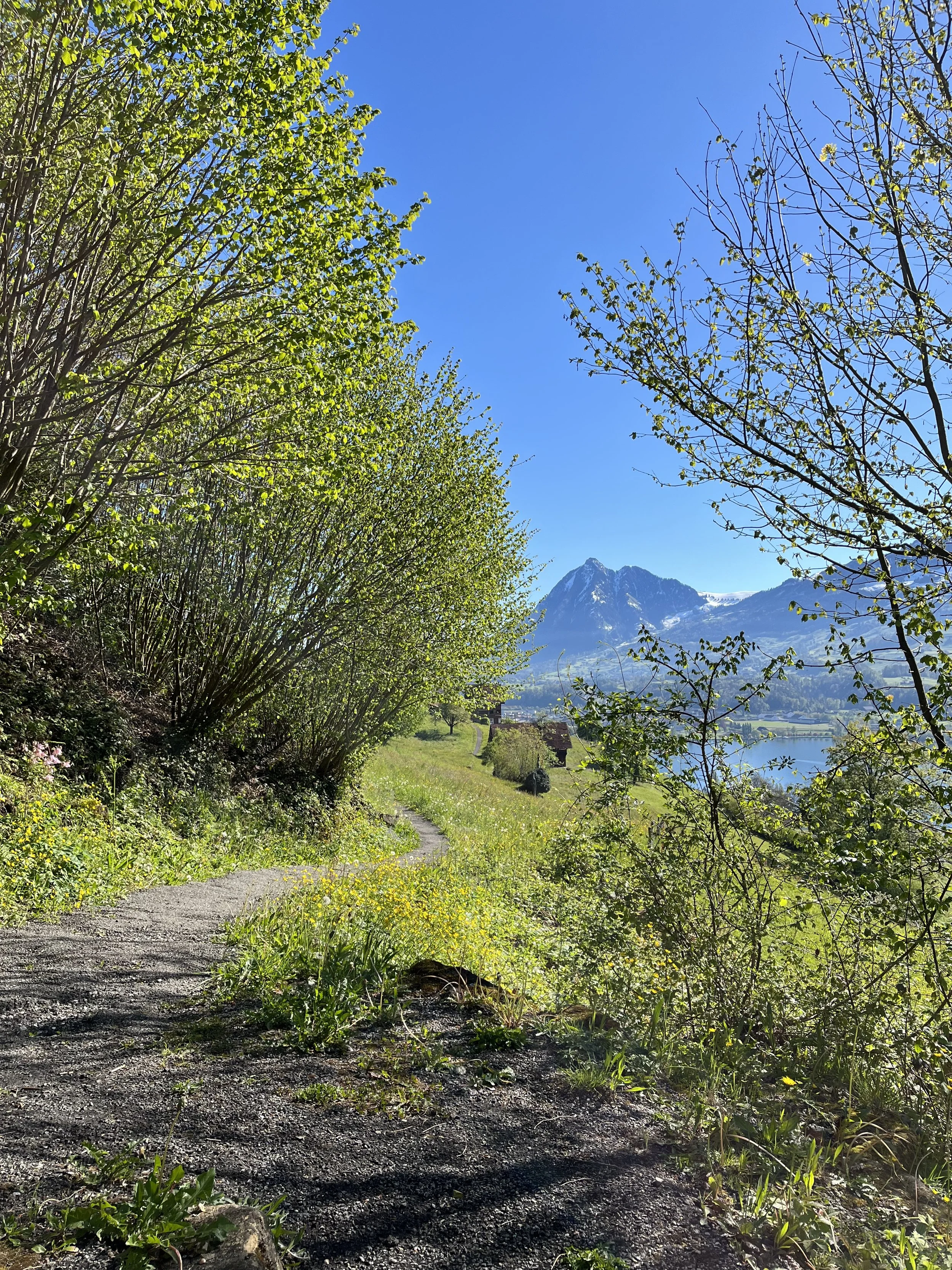 IMG_4002.jpeg