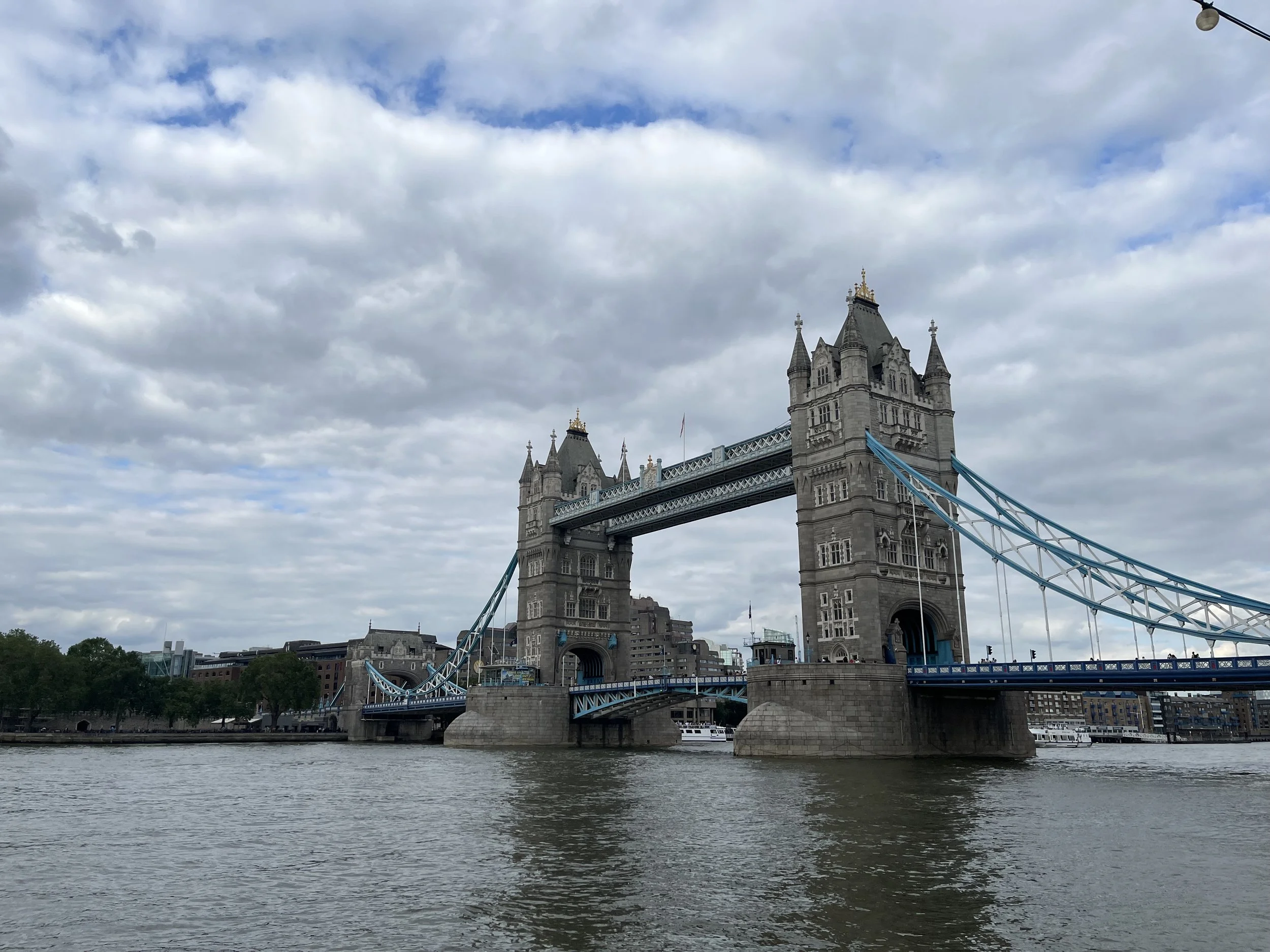 IMG_1109.jpeg