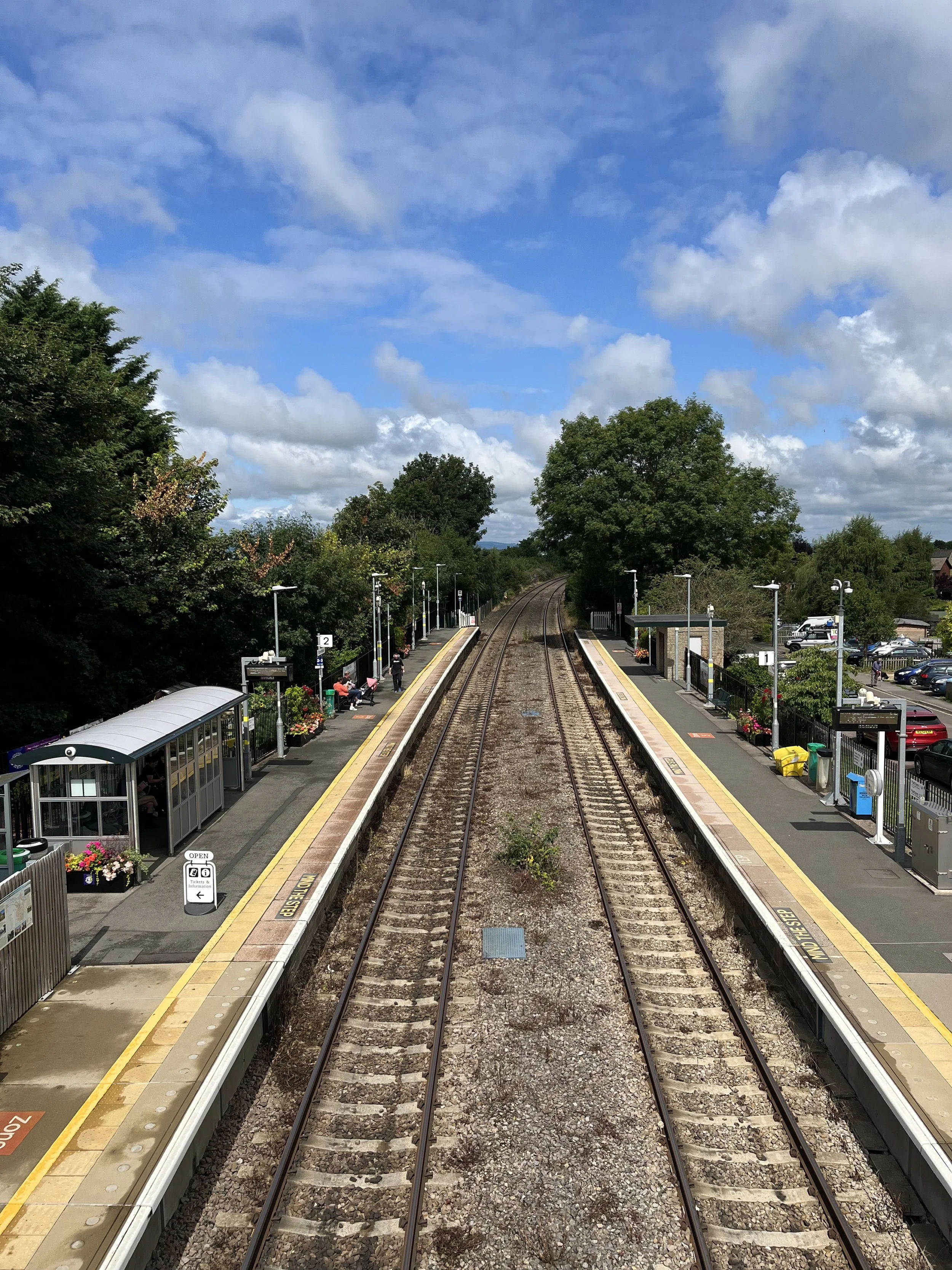 IMG_5319.jpeg