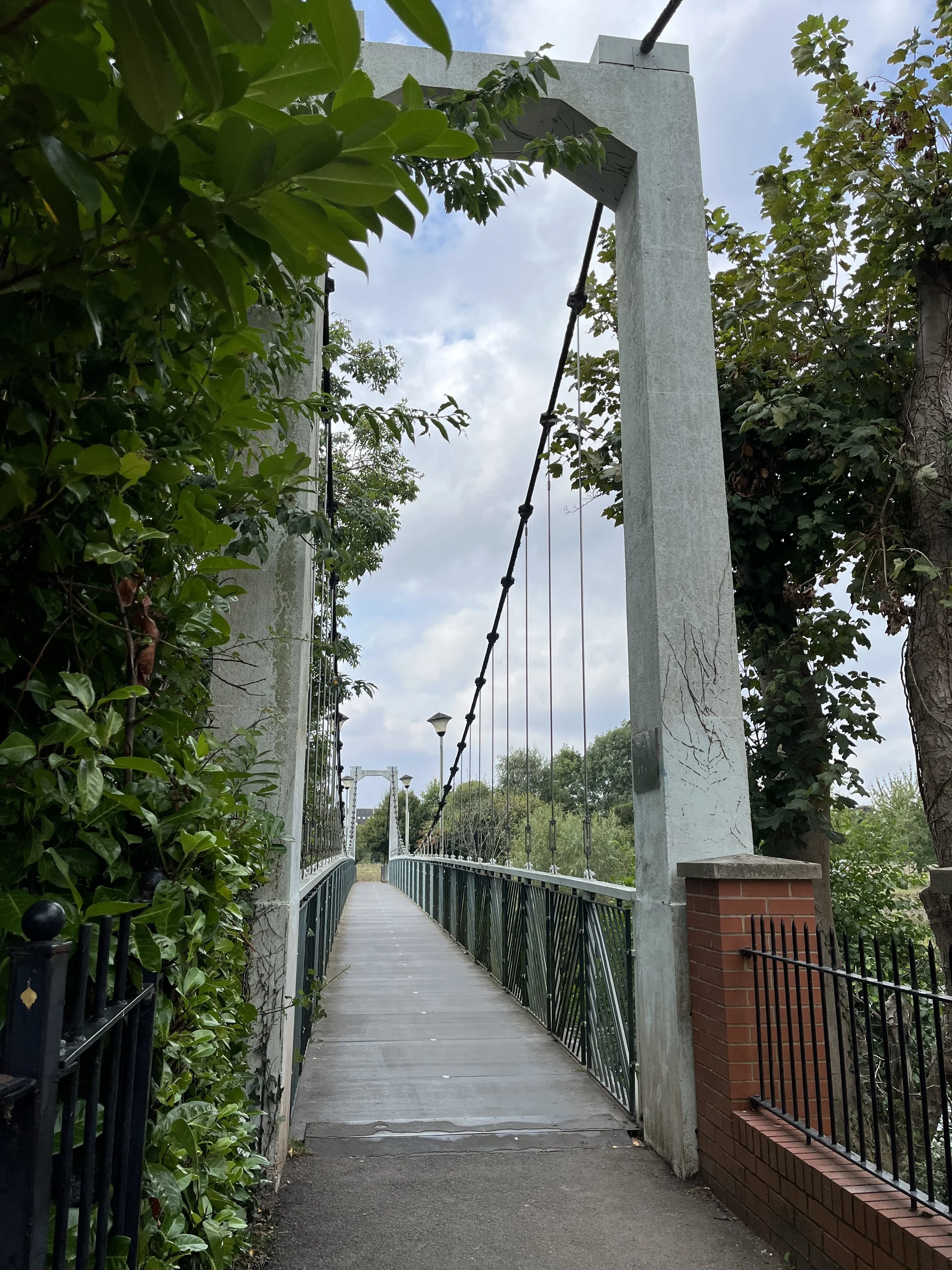 IMG_5965.jpeg