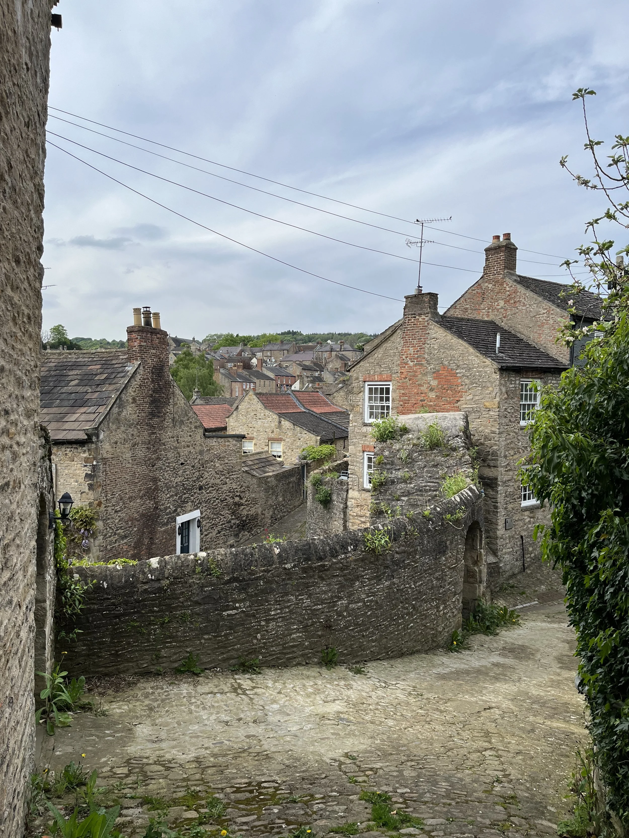 IMG_4362.jpeg