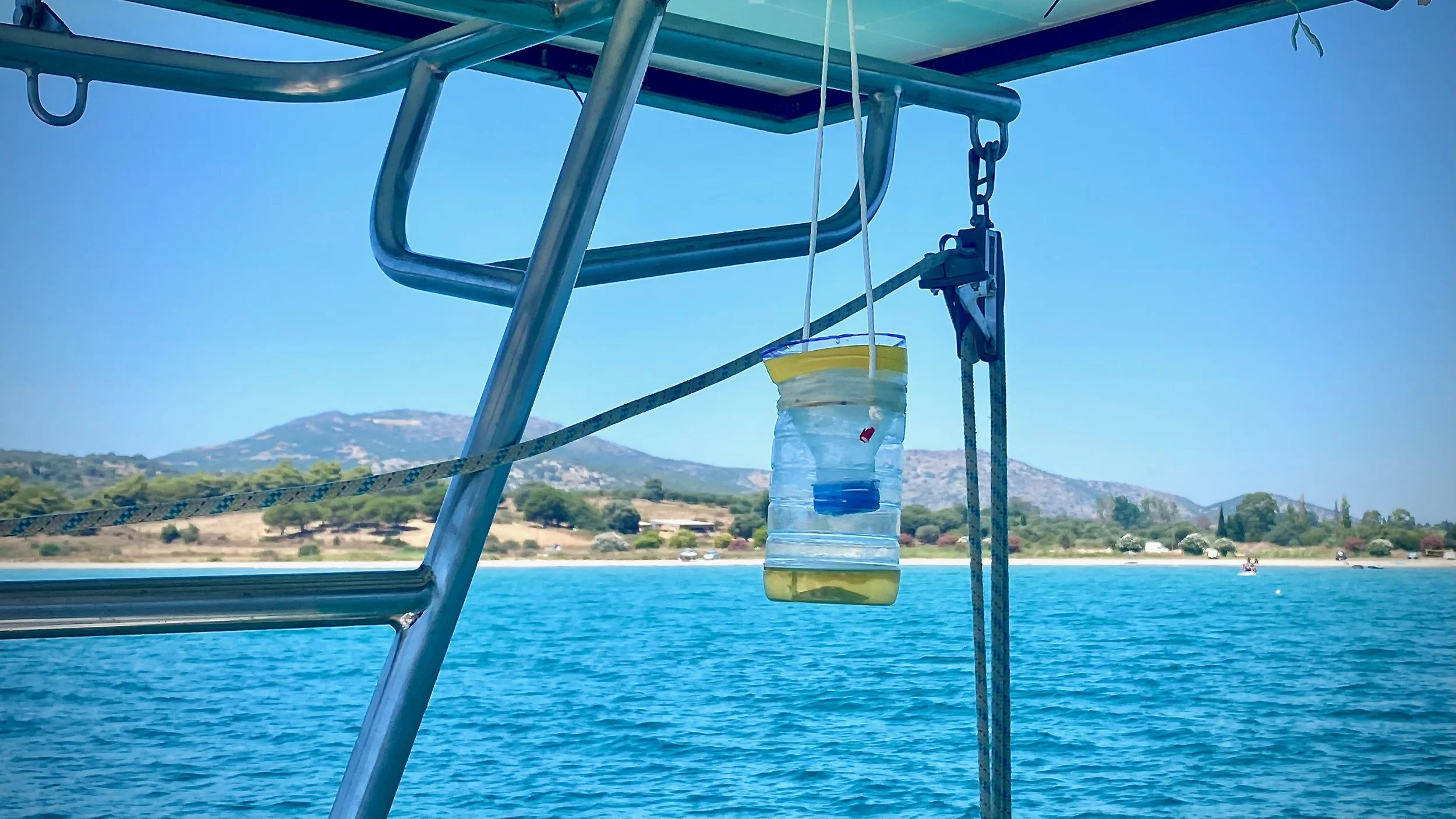 A DIY wasp catcher made from a plastic bottle