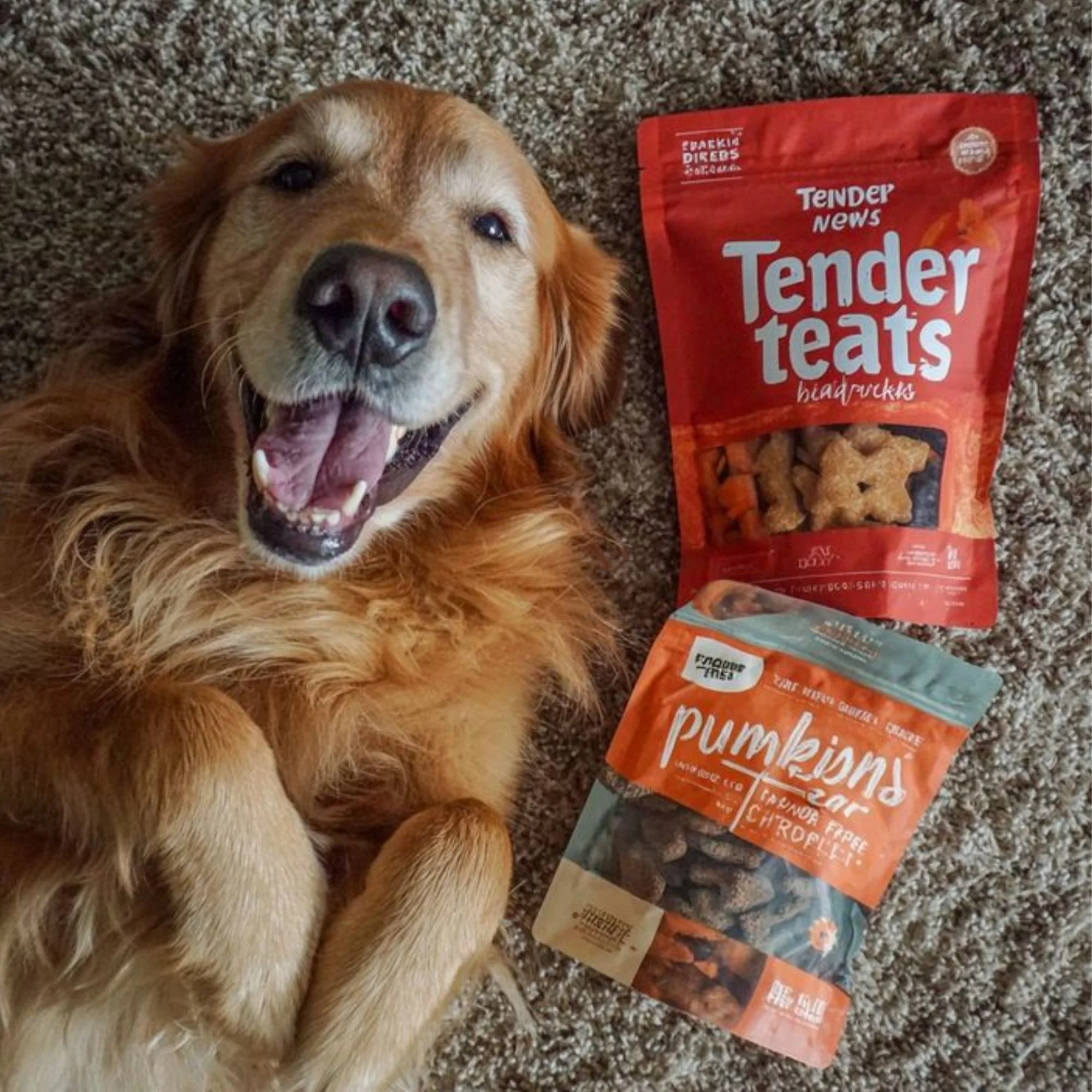 dog-being-rewarded-snack