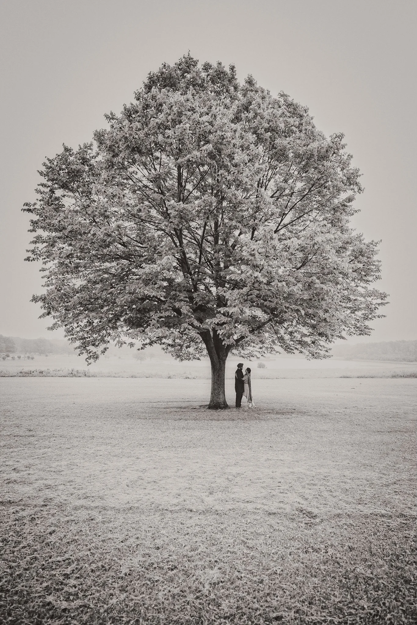 A romantic black and white engagement portrait where a couple stands beneath a majestic tree in a scenic park in Shawarmburg, Chicago 