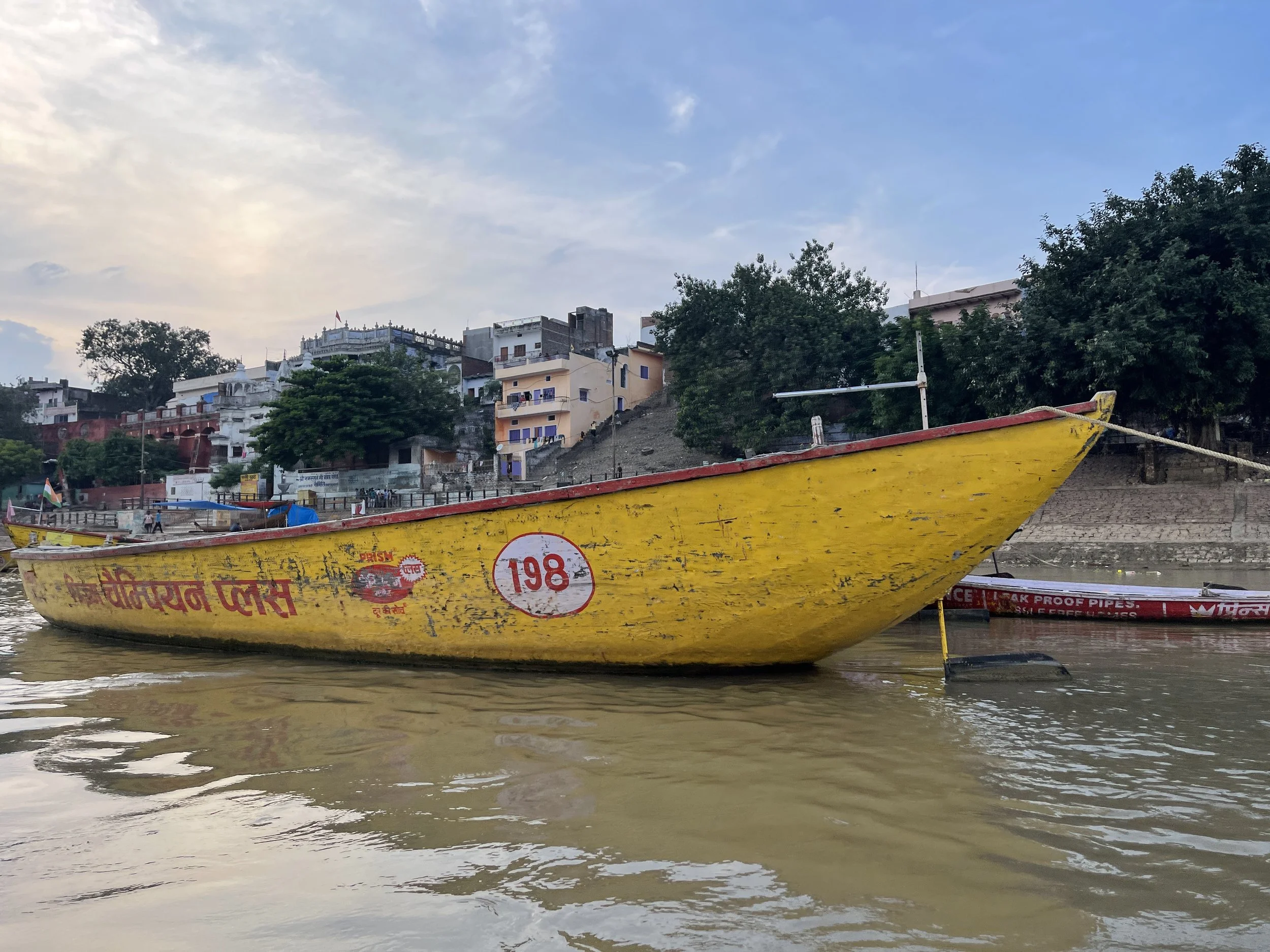 IMG_4801.jpeg