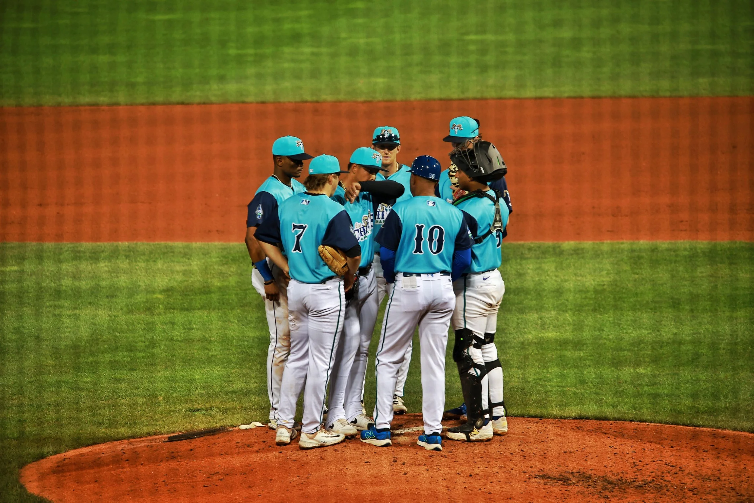 The Hartford Yard Goats.| Credit: Reynaldo Cruz Diaz