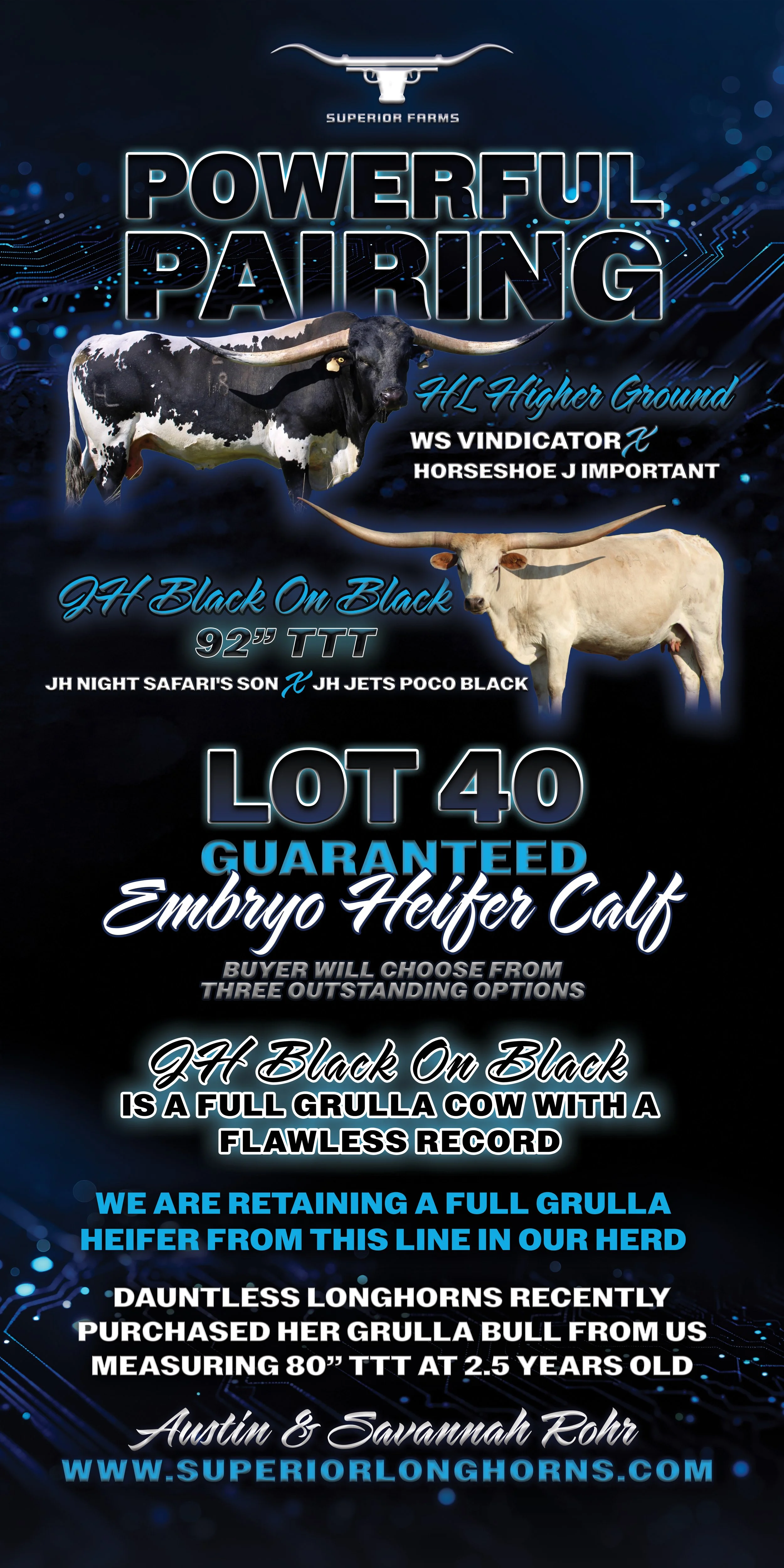 HL HIGHER GROUND X JH BLACK ON BLACK EMBRYO CALF.jpg