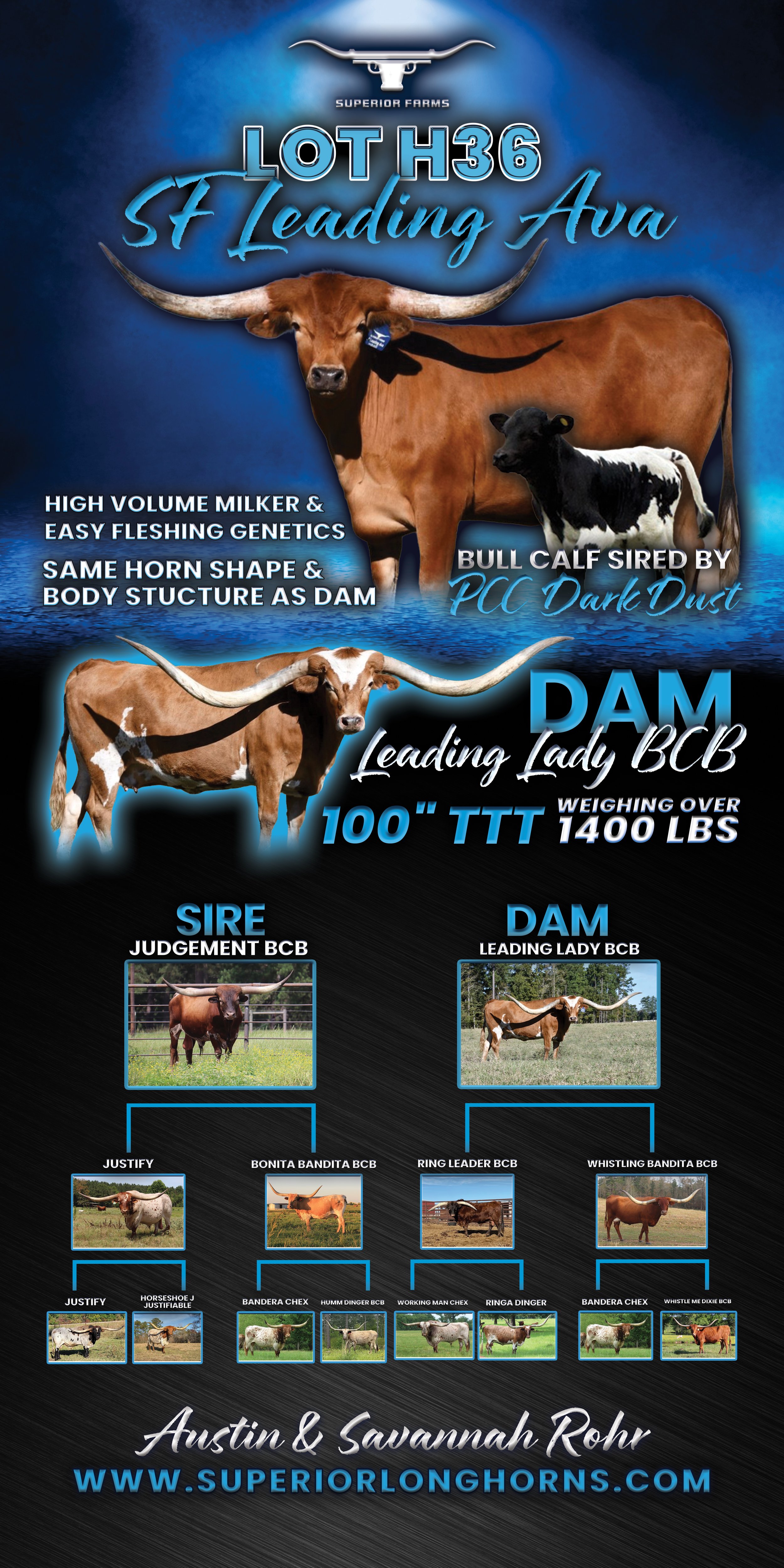 SF LEADING AVA PRINT_.jpg