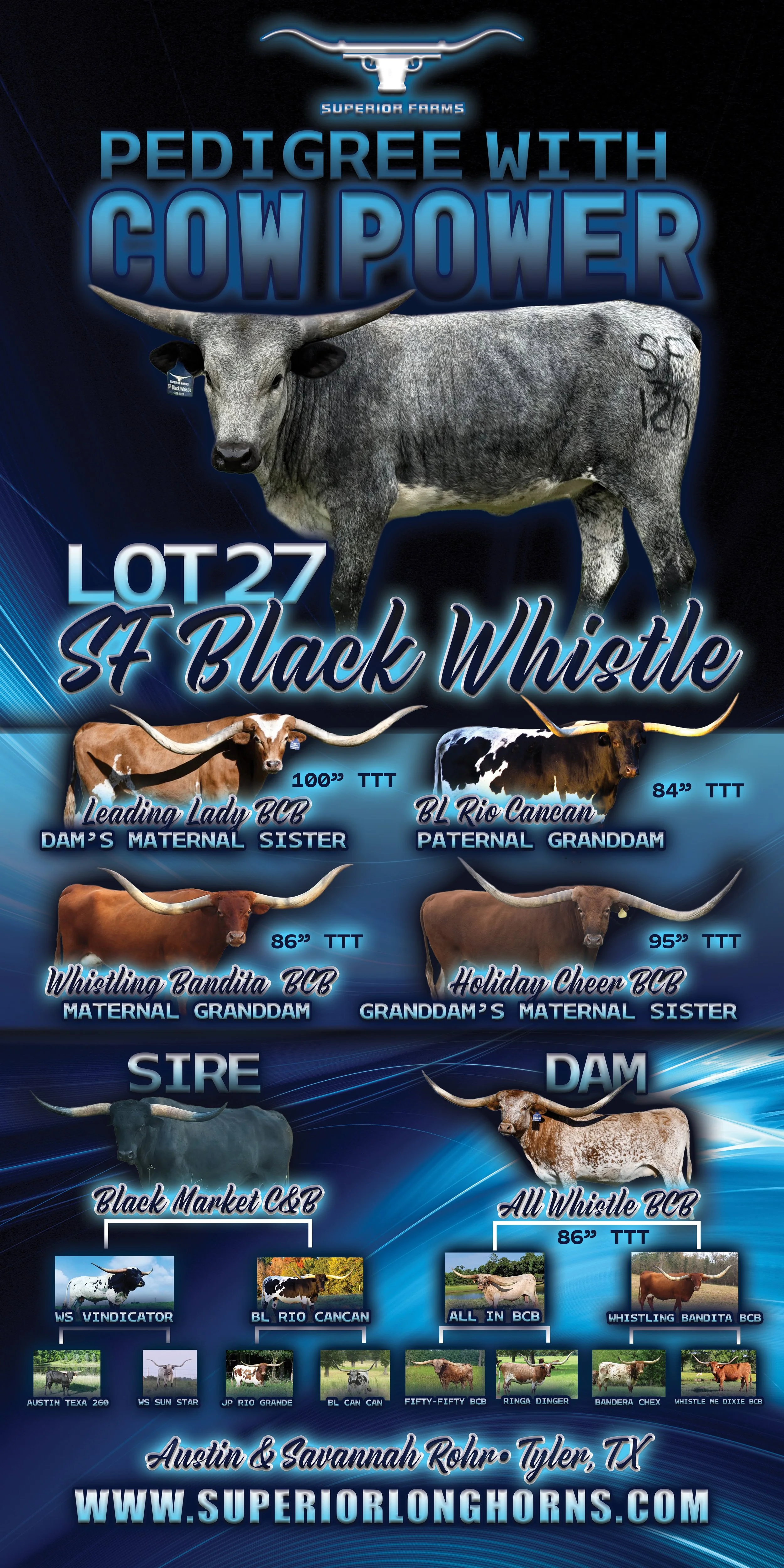 SF BLACK WHISTLE PRINT.jpeg