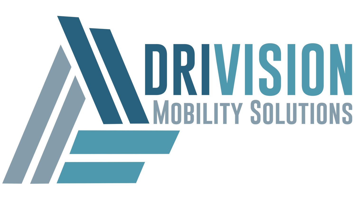 Drivision Mobility Solutions