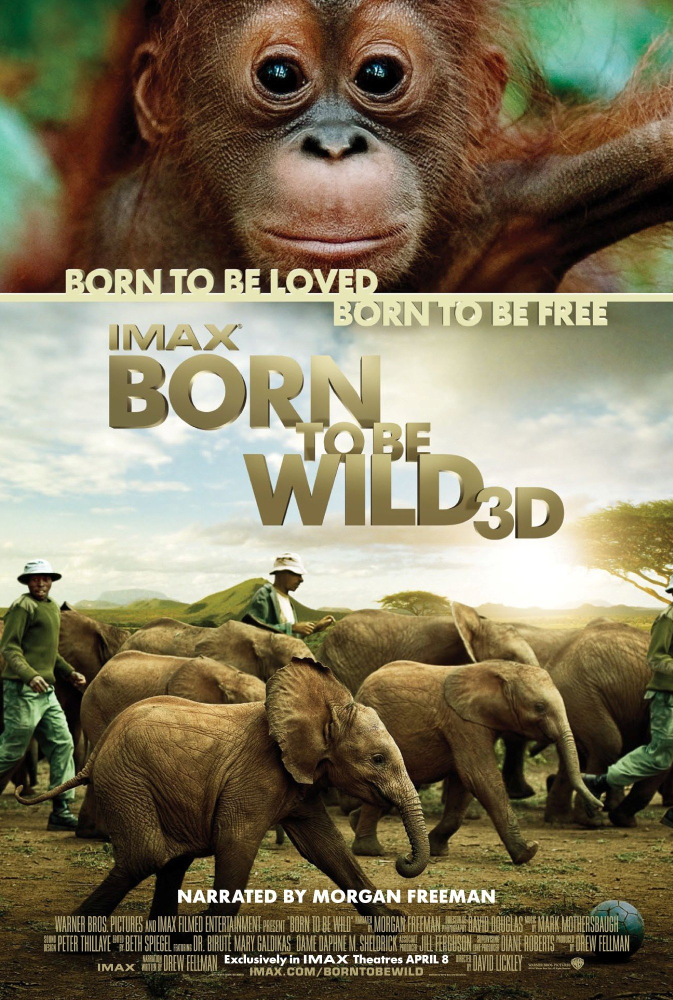 Born to Be Wild (2011) - Assistant Score Mixer