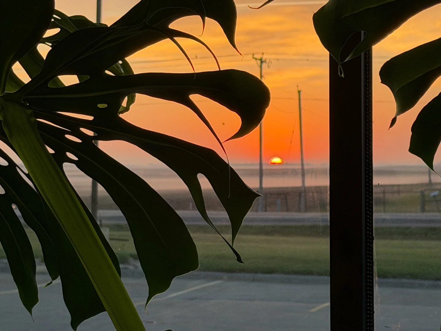 When the gym feels like Lion King. Good morning, Iowa! 🦁 👑