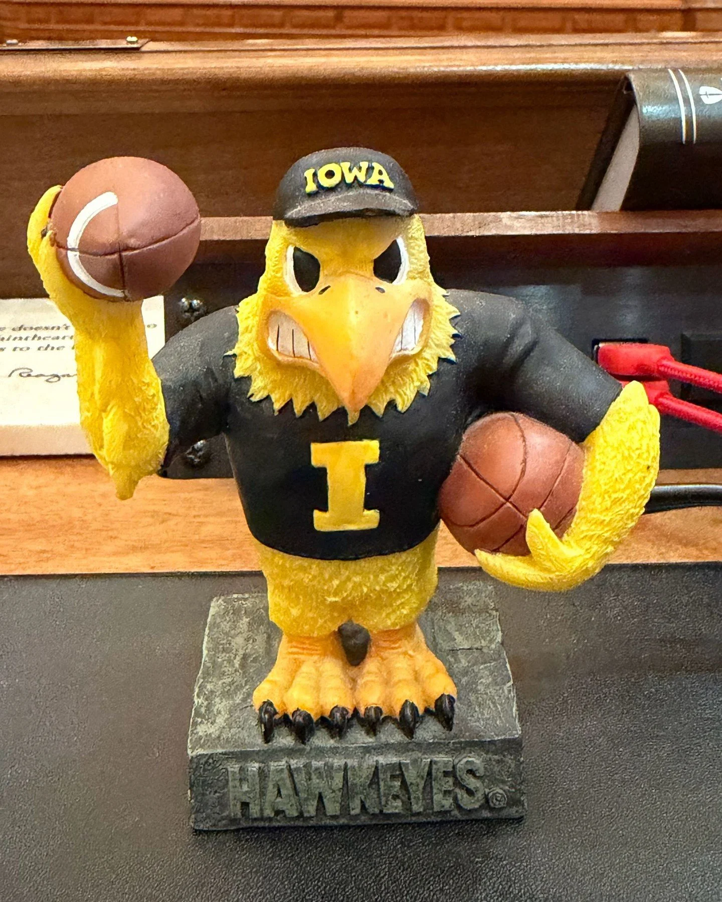 What&rsquo;s on my desk? This week&rsquo;s highlight: Herky! The University of Iowa is a leader in healthcare excellence and I&rsquo;m thankful that my Alma Mater brought me to this great state where I&rsquo;m privileged to raise my family.