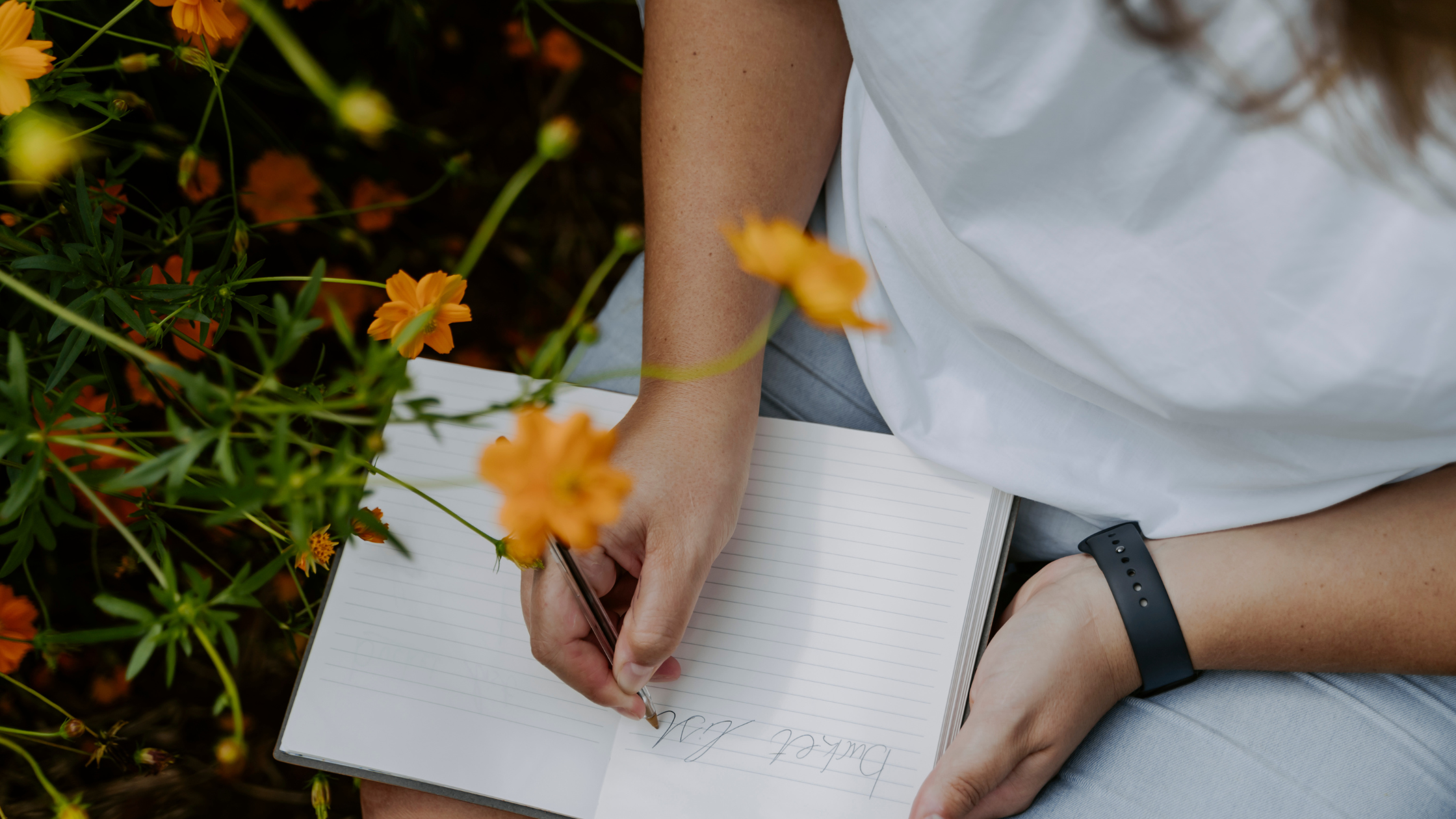The gut-brain connection: How Your Microbiome Influences Mood, Anxiety, and Mental Clarity