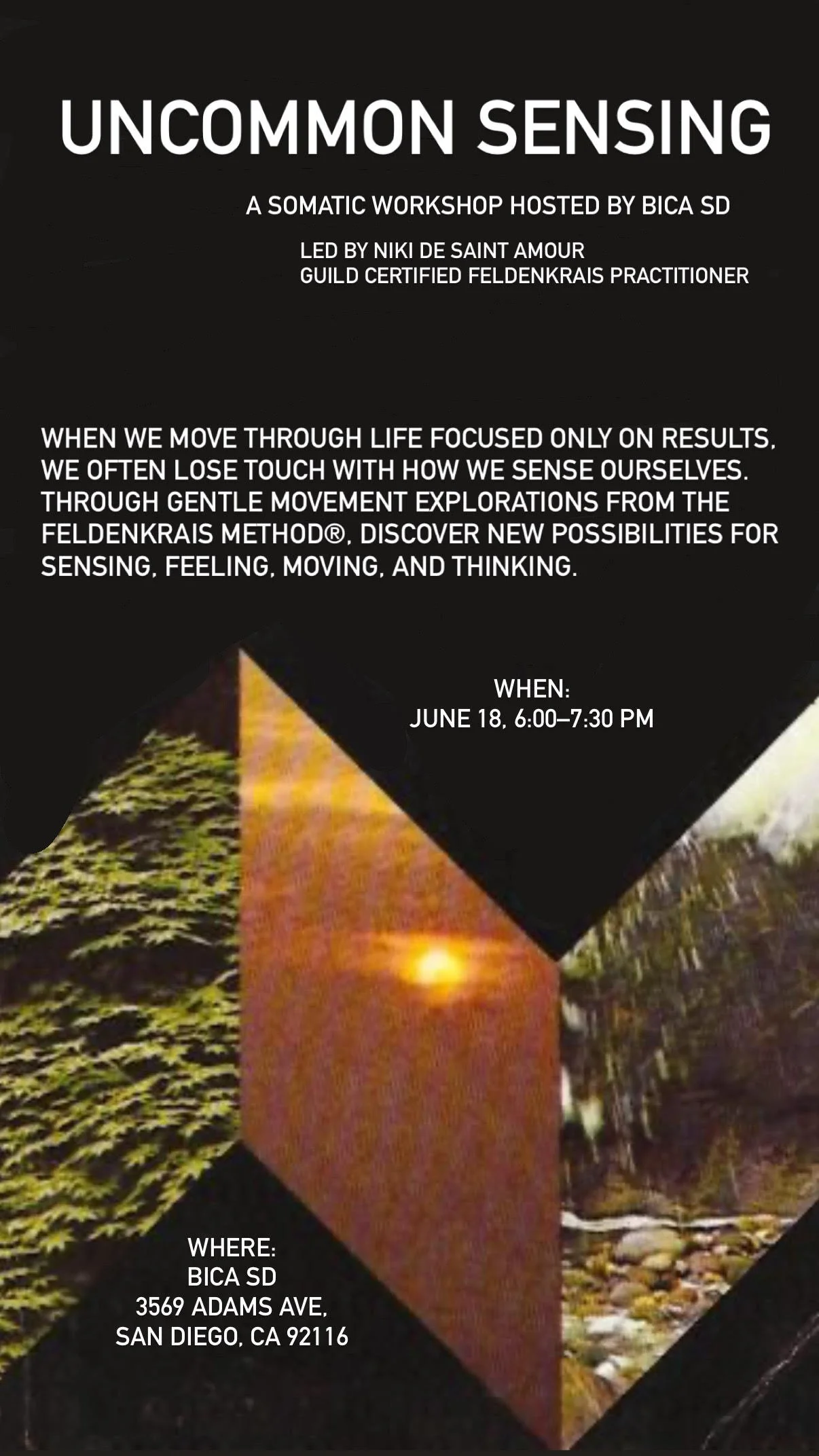 Uncommon Sensing by Niki De Saint Amour