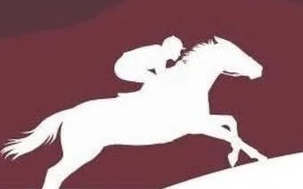 Derby Auction Ticket Per Person