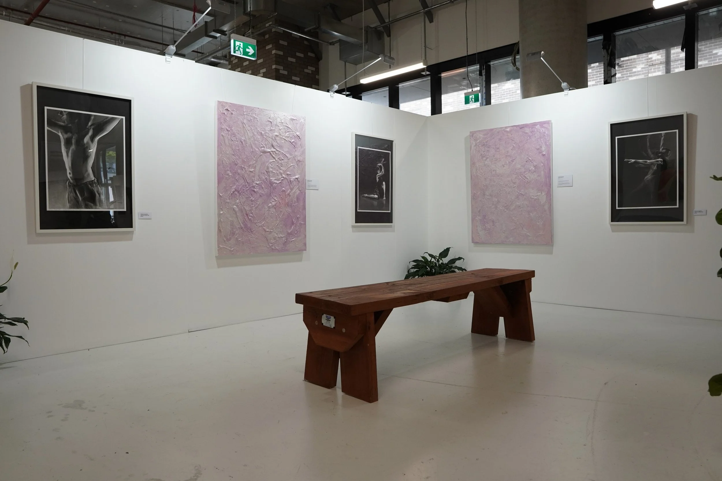 Art gallery with framed black and white photographs of human figures and pink textured abstract paintings on white walls, with a wooden bench and potted plants in the foreground.