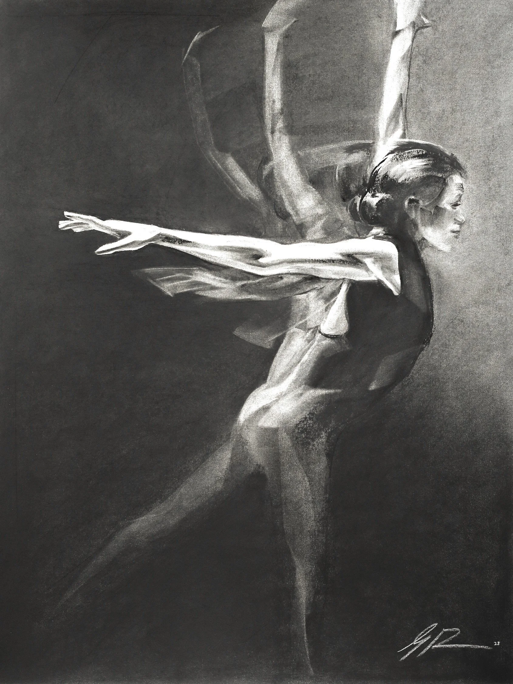 Orbit 
2025  
60 x 65cm 
Willow & compressed charcoal on Fabriano Accademia paper 200gsm 
$510