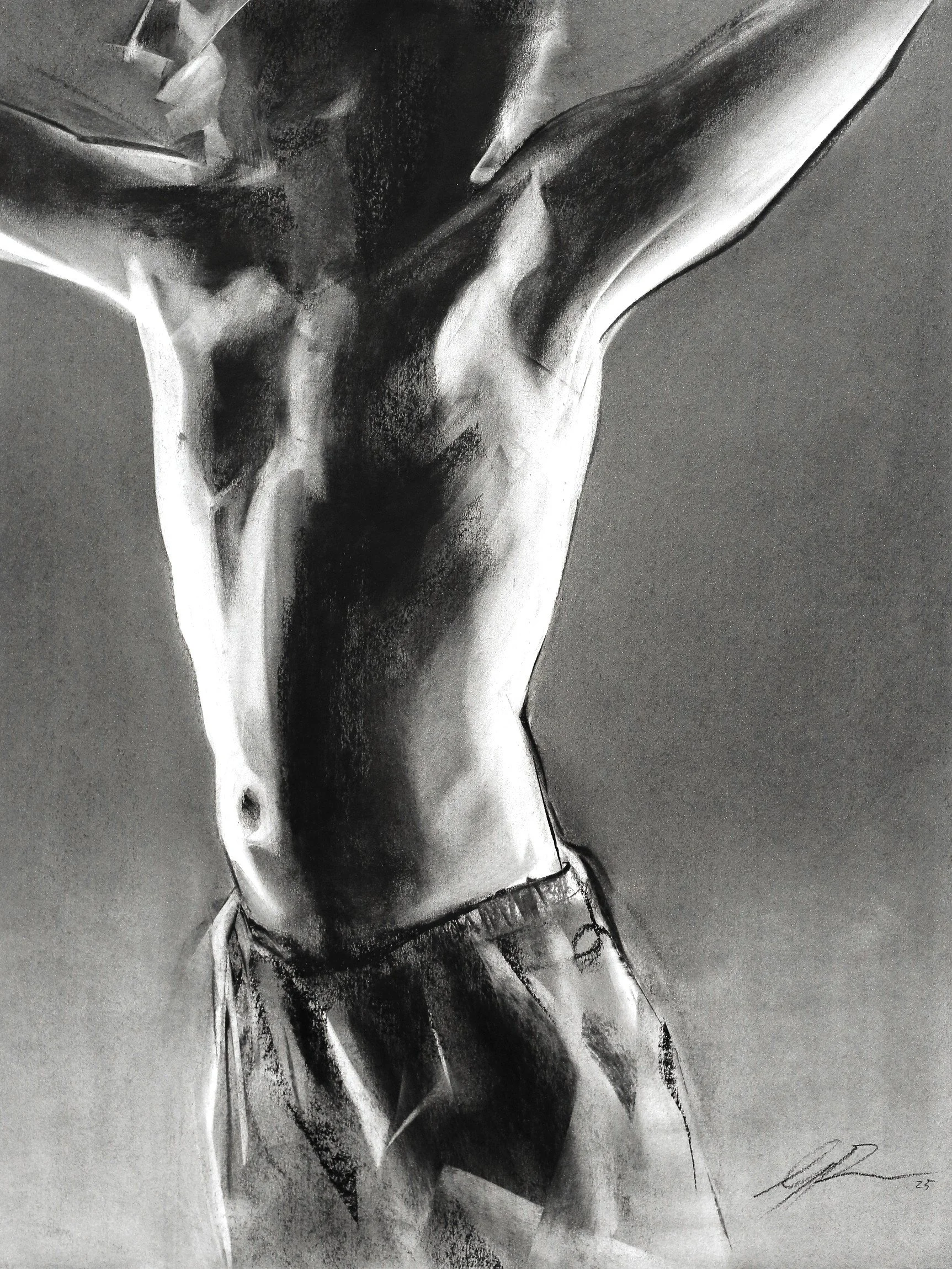 Vault 
2025  
60 x 65cm 
Willow & compressed charcoal on Fabriano Accademia paper 200gsm 
$480