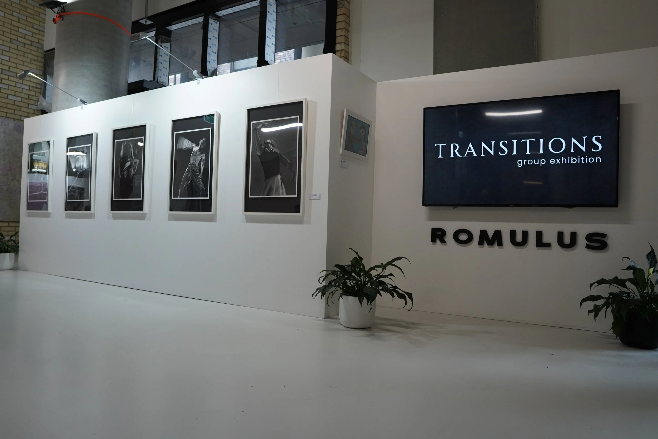 Art gallery exhibition wall displaying black and white photographs of dancers, with a large screen showing ‘TRANSITIONS group exhibition’ and the word ‘ROMULUS’ below it, and potted plants on either side of the display.
