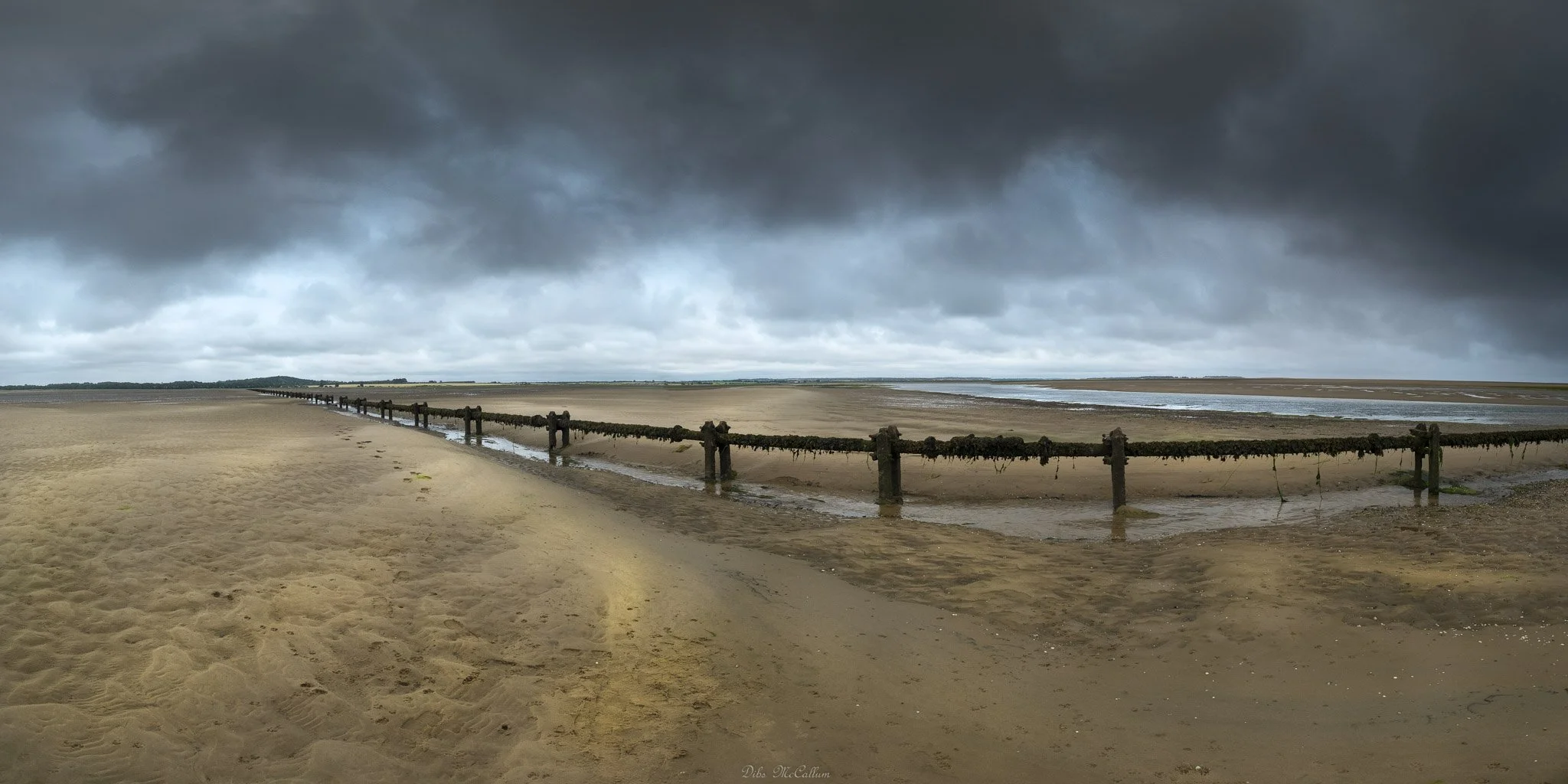 _DSF3184-Pano-Edit.jpg