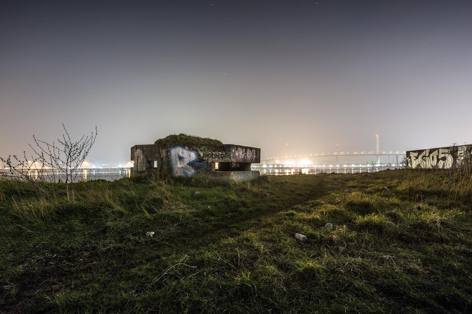 Thurrock+at+the+QE2+bridge.jpg