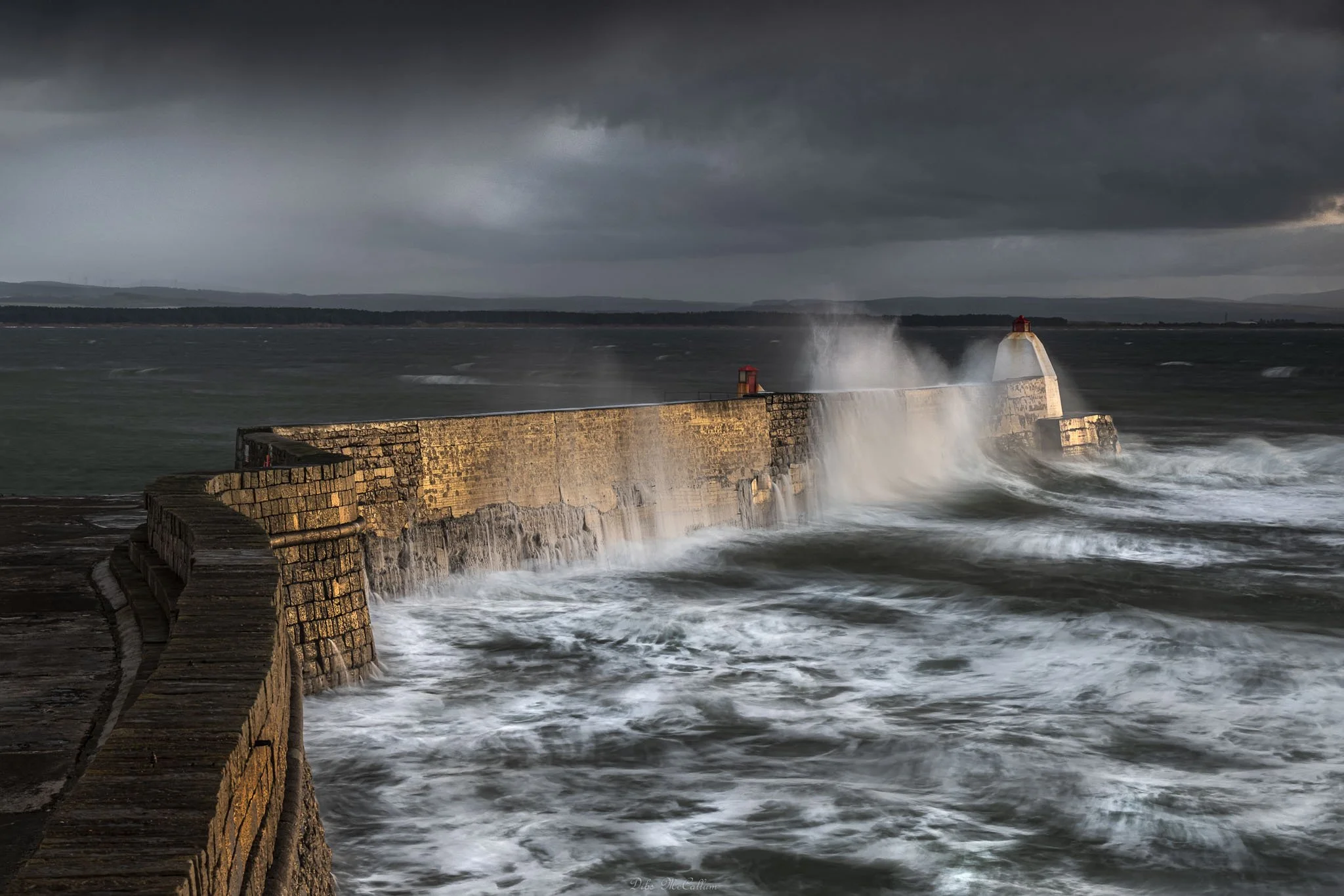 Moray Coast & Cairngorms Photography Workshop - March 2027