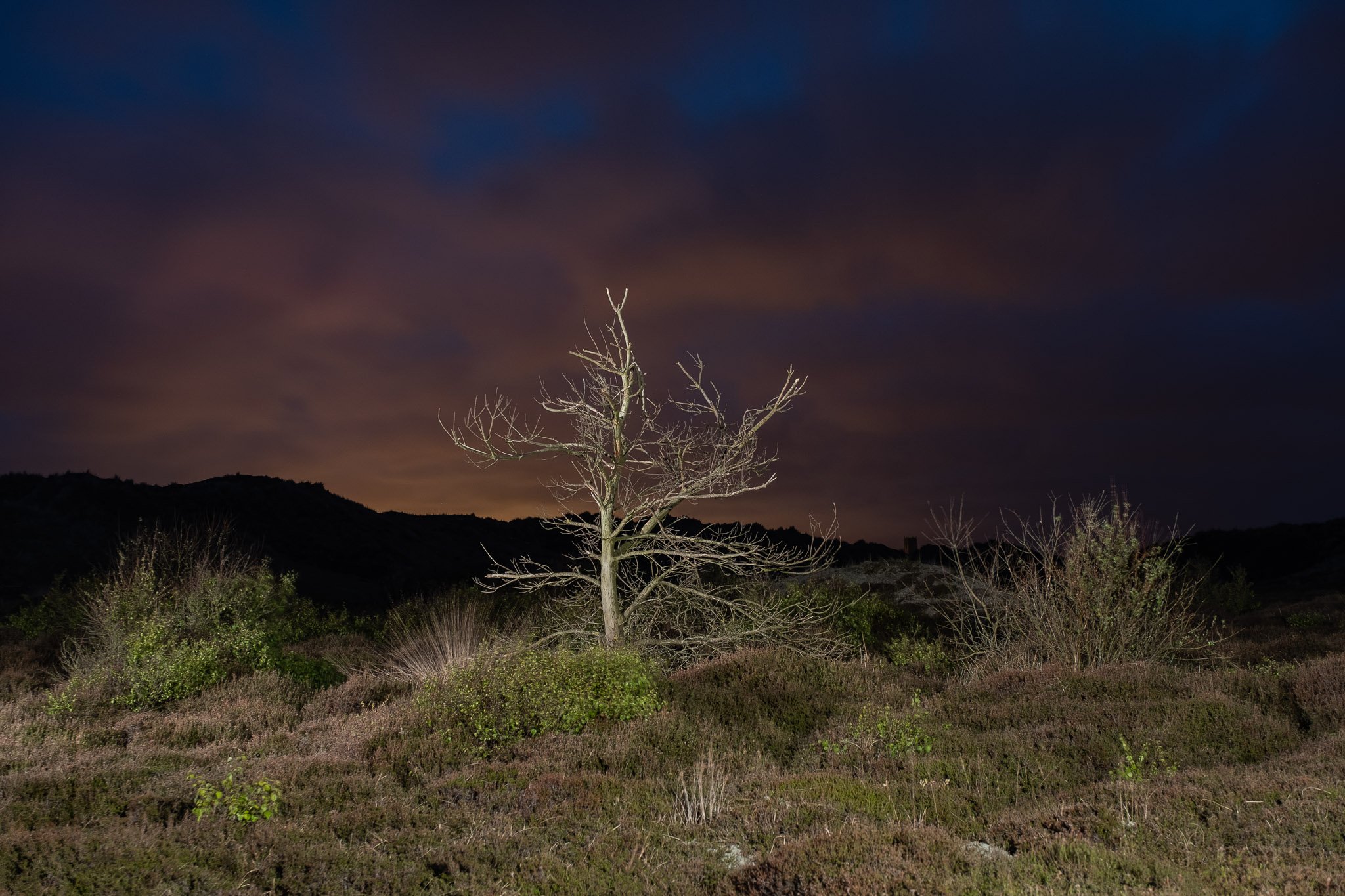 _DSF6870-Edit.jpg
