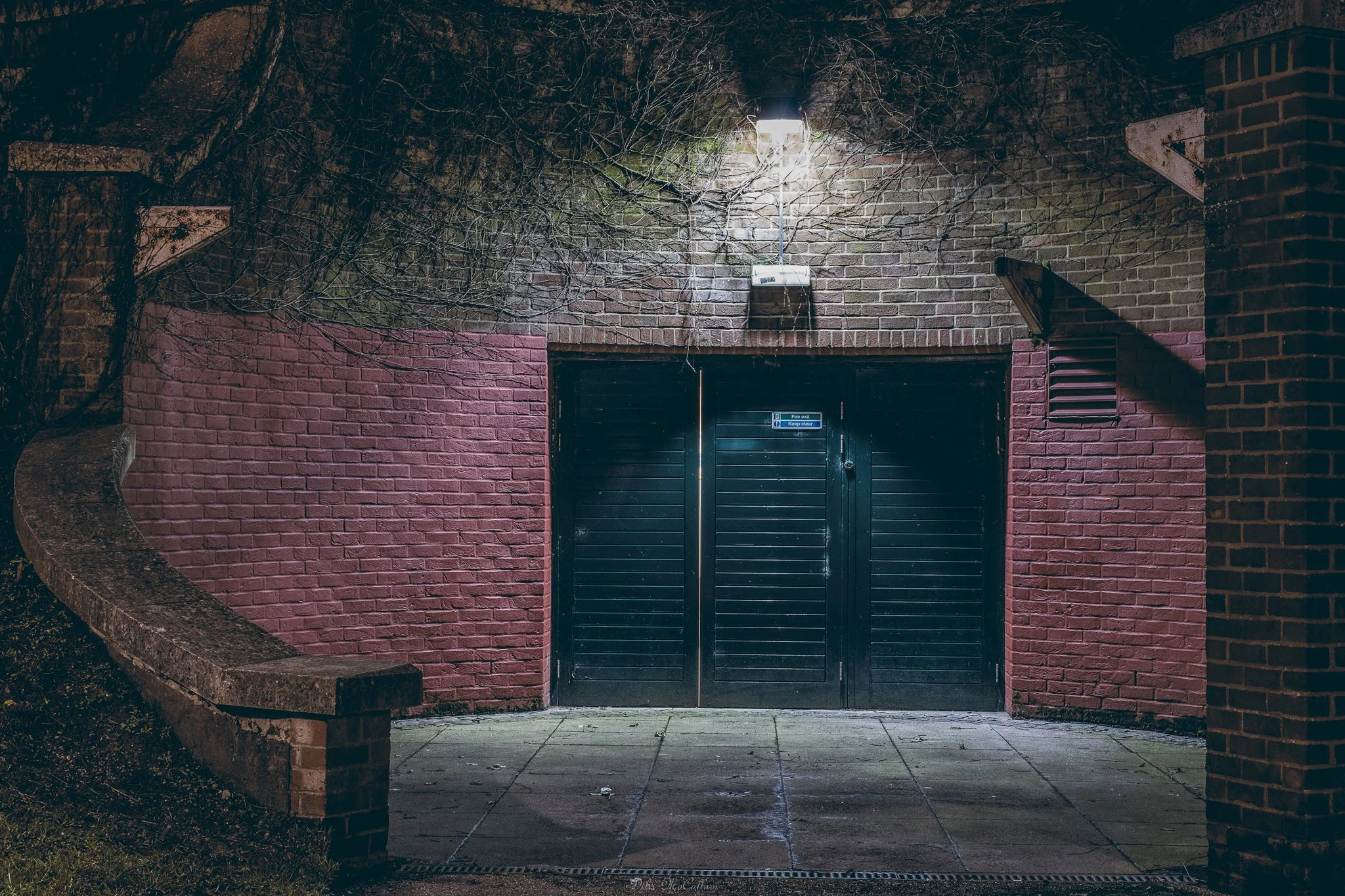 _DSF0845-Edit.jpg