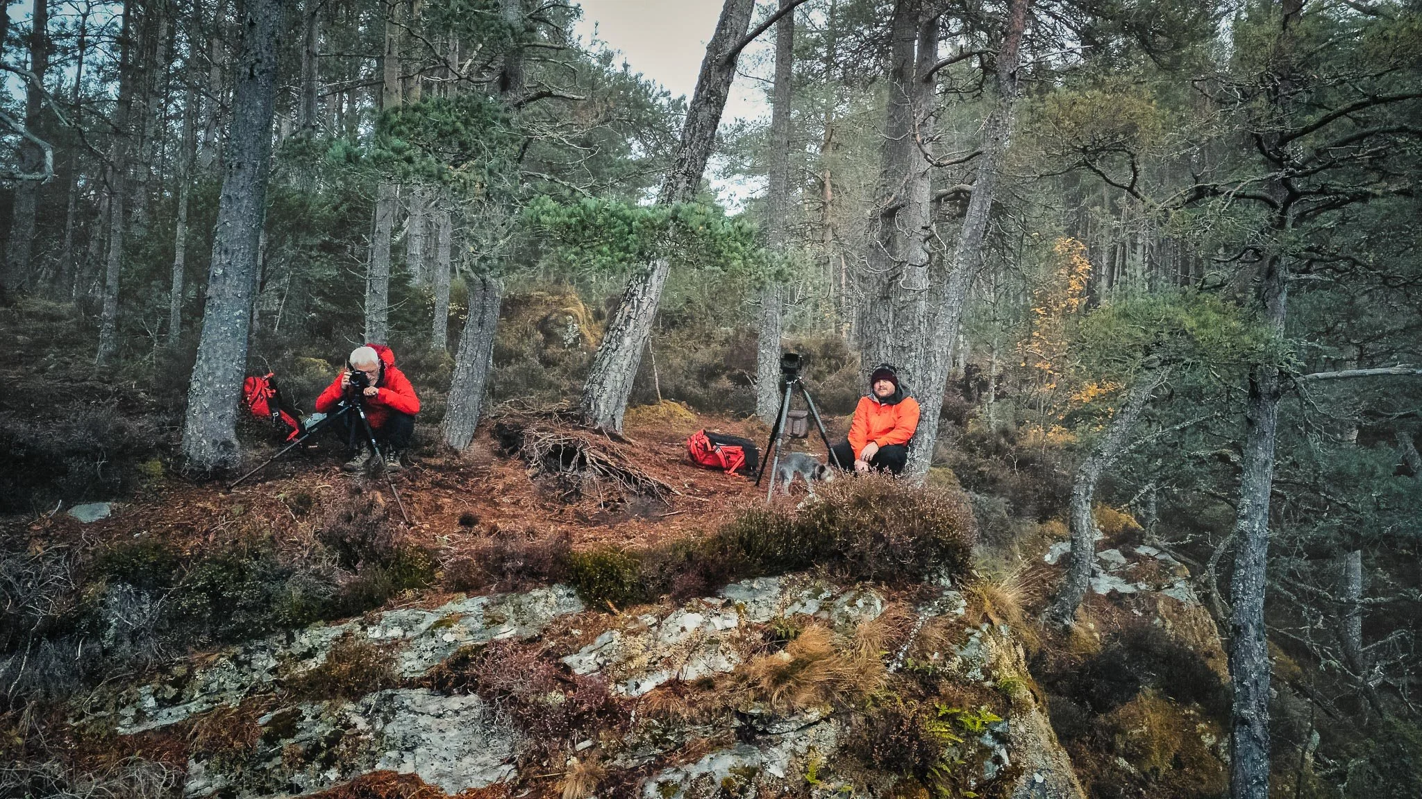 DJI_20251022113847_0154_D-Edit.jpg