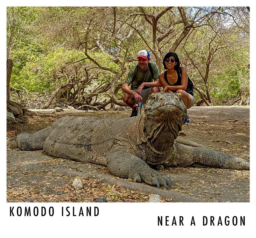 Two people crouching behind a large Komodo dragon on a dirt trail in a wooded area, with trees and green foliage in the background.