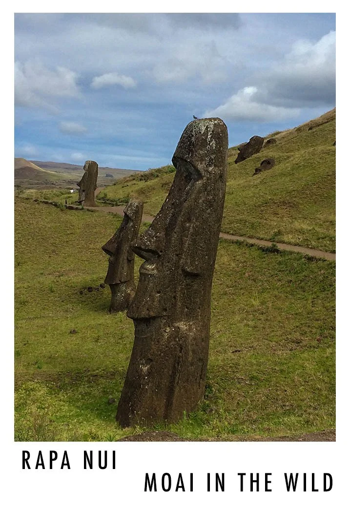 Two Moai statues on a grassy hillside with a blue sky and clouds, with more Moai statues visible in the background.