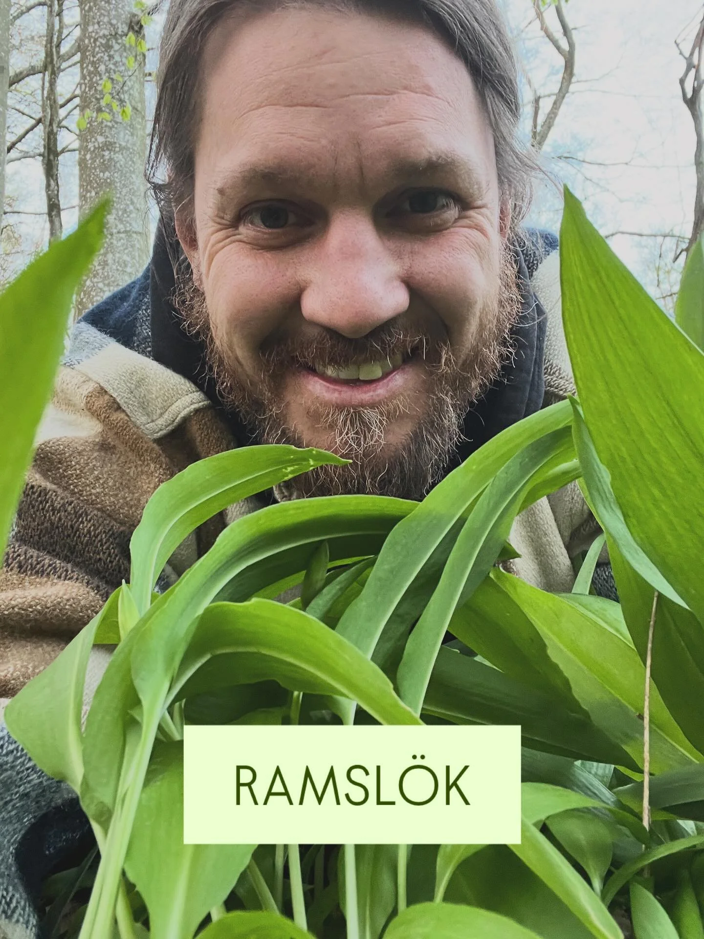 🌱 RAMSL&Ouml;K 🌱

VI G&Ouml;R:
- SURK&Aring;L MED RAMSL&Ouml;K (LIMITED BATCH)
- FERMENTERAD RAMSL&Ouml;K

🌱 H&Aring;LL UTKIK ELLER H&Ouml;R AV DIG 🌱