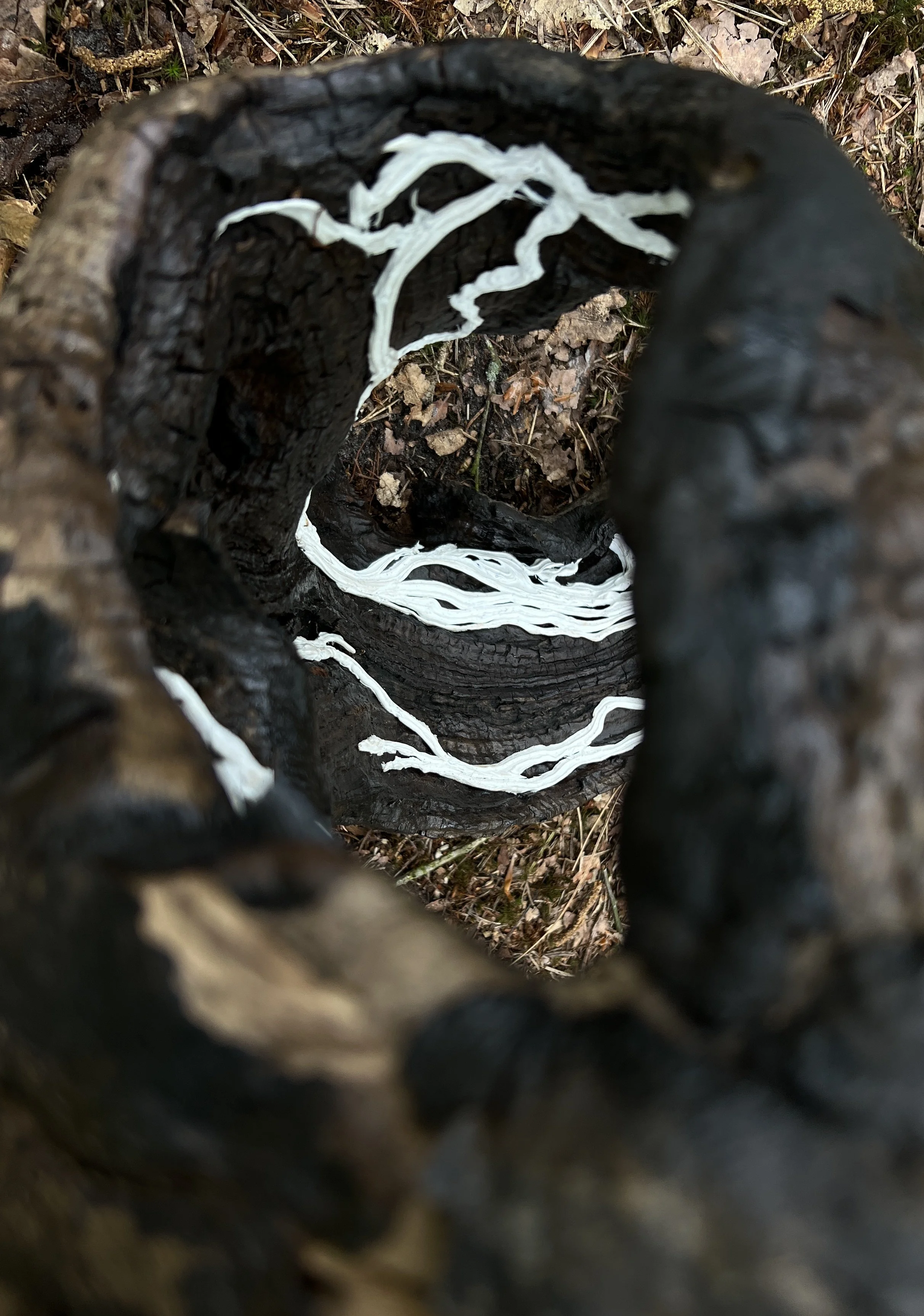 foto werk detail.JPG