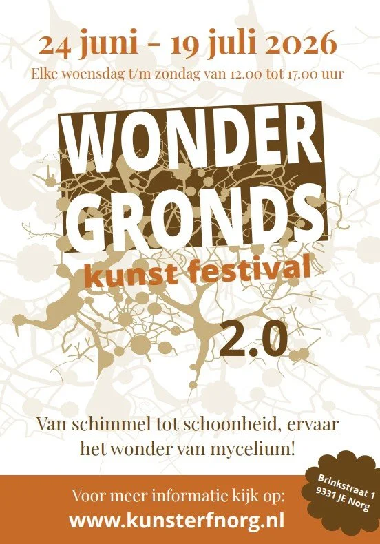 flyer 1.jpg