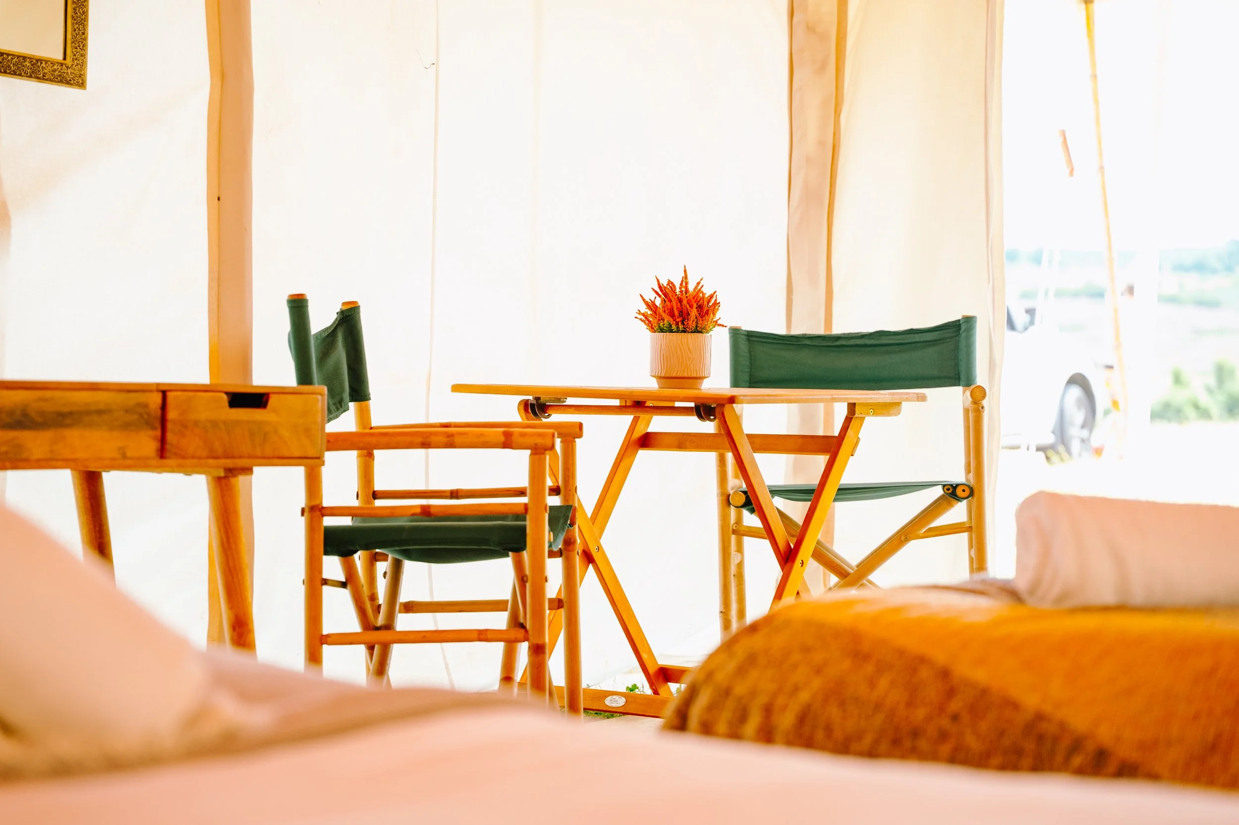 Royal Indian Shikar Interior 6.jpg