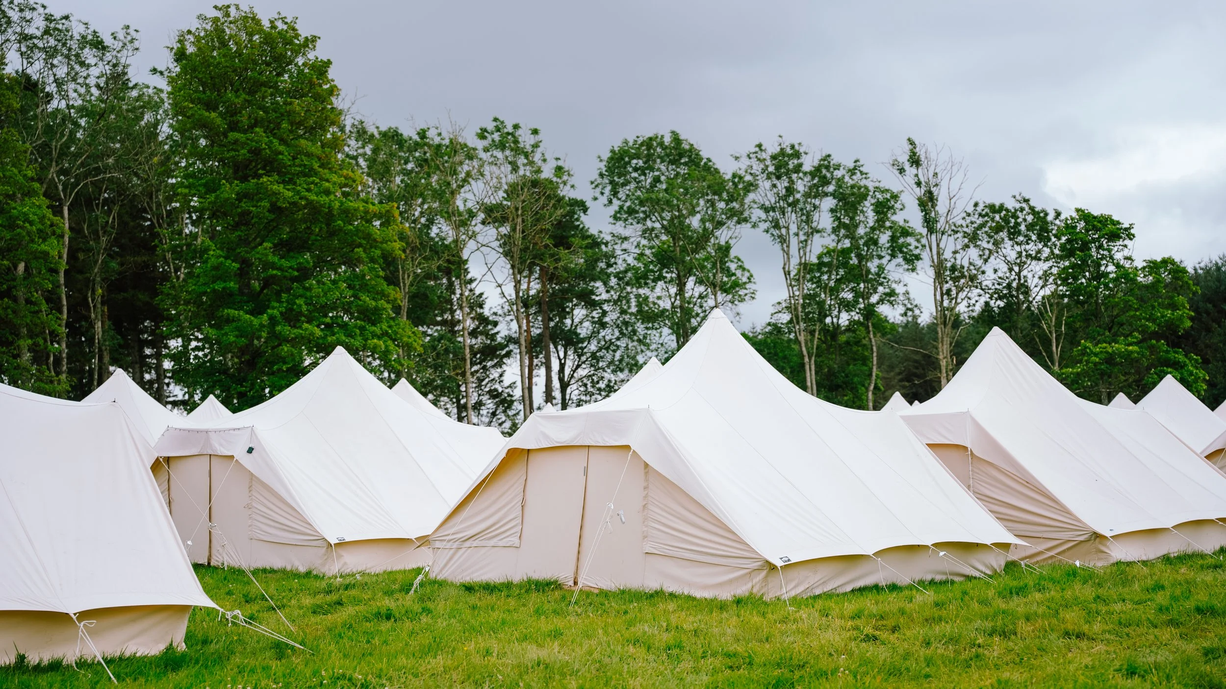 Row of Touareg Tents 3.jpg