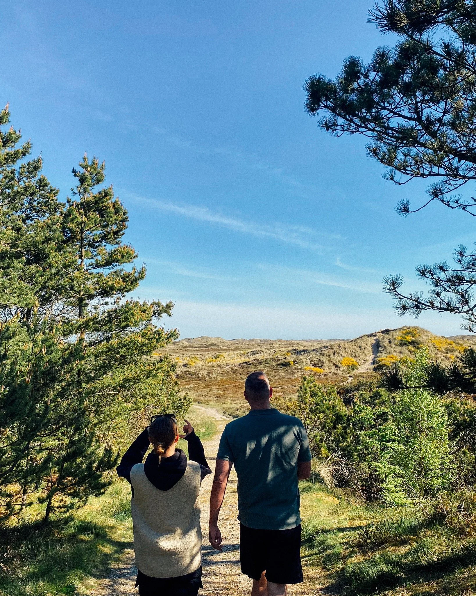 Fra en sk&oslash;n dag ved Lodbjerg Klitplantage 💙💙