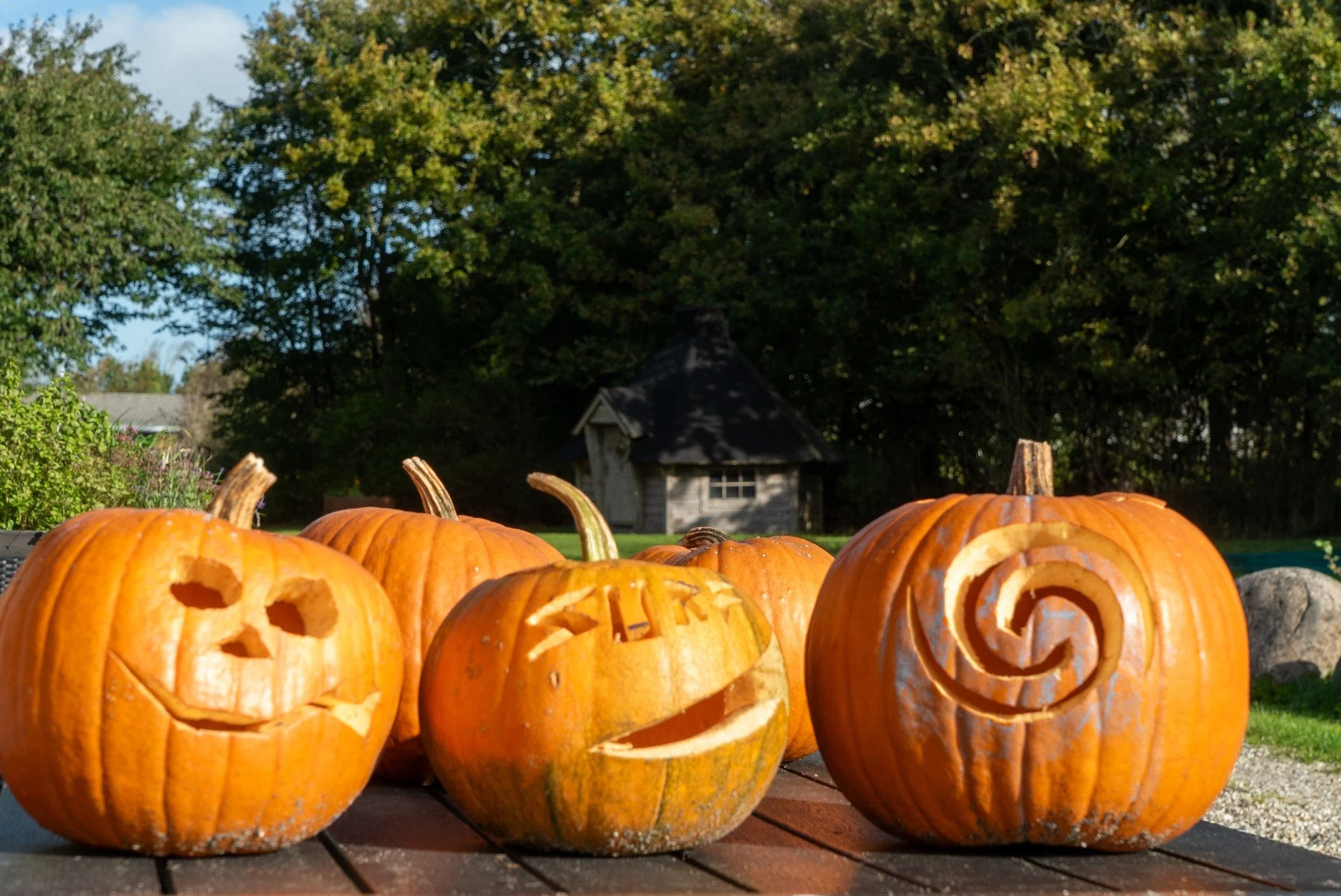 Efter&aring;r p&aring; Surfgaarden 🍁 P&aring; sporet af et bedre liv.