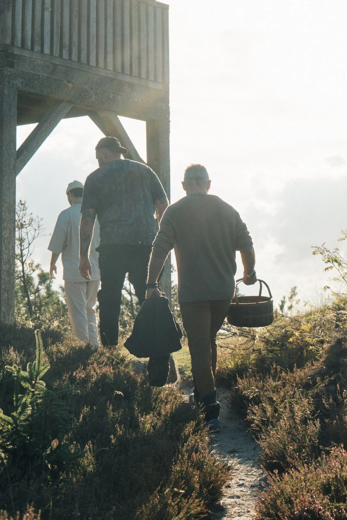 Lidt glimt fra det tidlige efter&aring;r, hvor vejret stadig var mildt og sommerligt.
Vi brugte en dag i Tved Klitplantage p&aring; at g&aring;, sanse og bare v&aelig;re.
I naturen falder tempoet, kroppen finder ro, og tankerne f&aring;r lov til at l