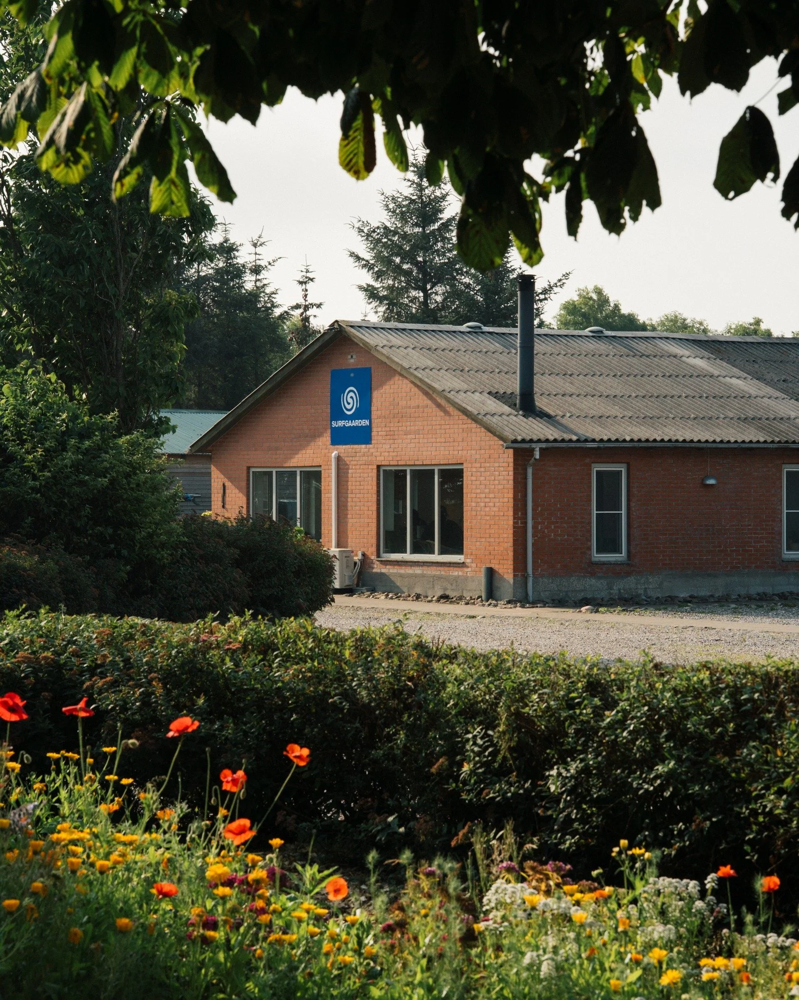 Sommer i fuldt flor 🌼🌸

@surfgaarden p&aring; sporet af et bedre liv