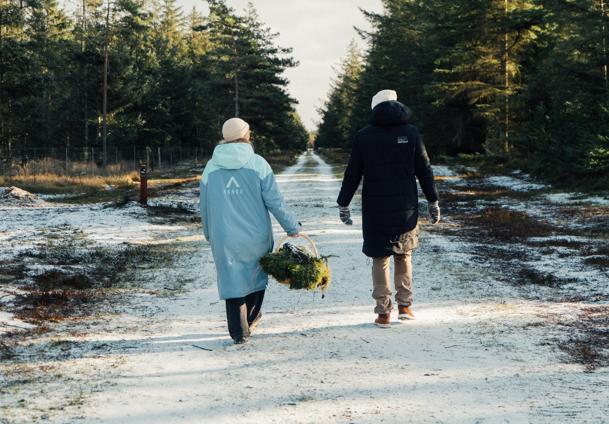 Smuk novemberdag i Stenbjerg Plantage.

@surfgaarden p&aring; sporet af et bedre liv