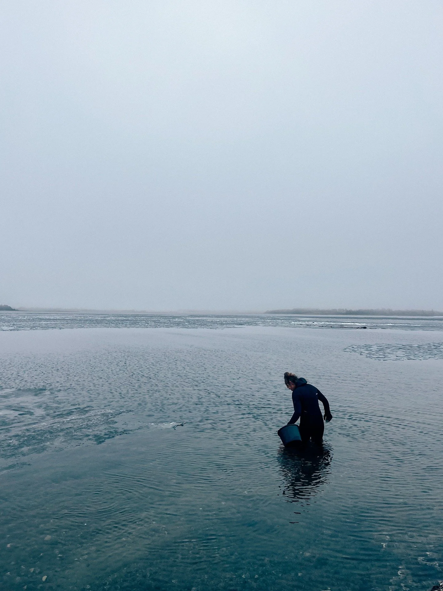 Trods isflager i vandet, kunne vi plukke og spise &oslash;ster fra Limfjorden og vi havde en lidt kold men sk&oslash;n eftermiddag ved Skyum Bjerge.