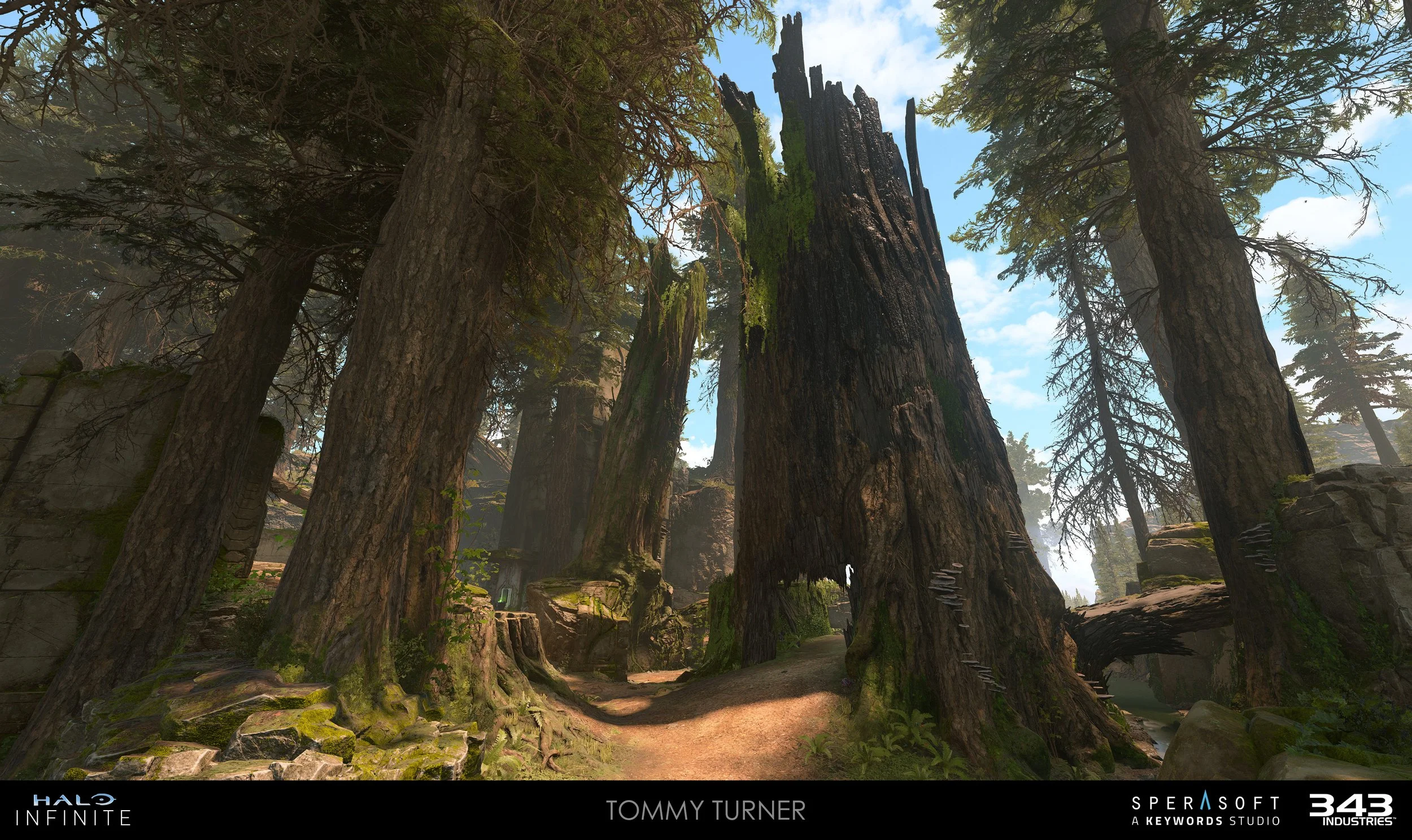 HaloInfinite_Forest_TommyTurner_10.jpg
