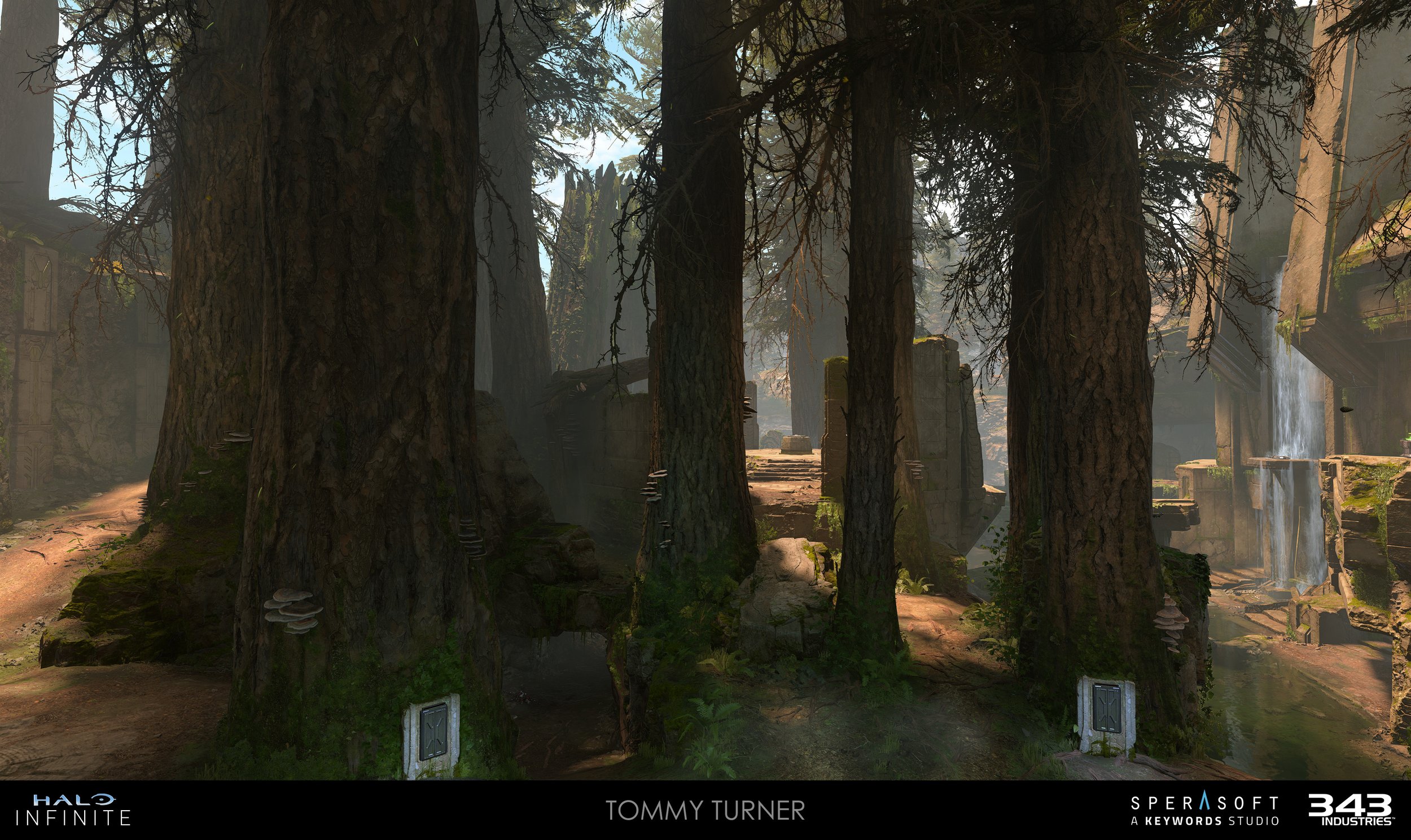 HaloInfinite_Forest_TommyTurner_08.jpg